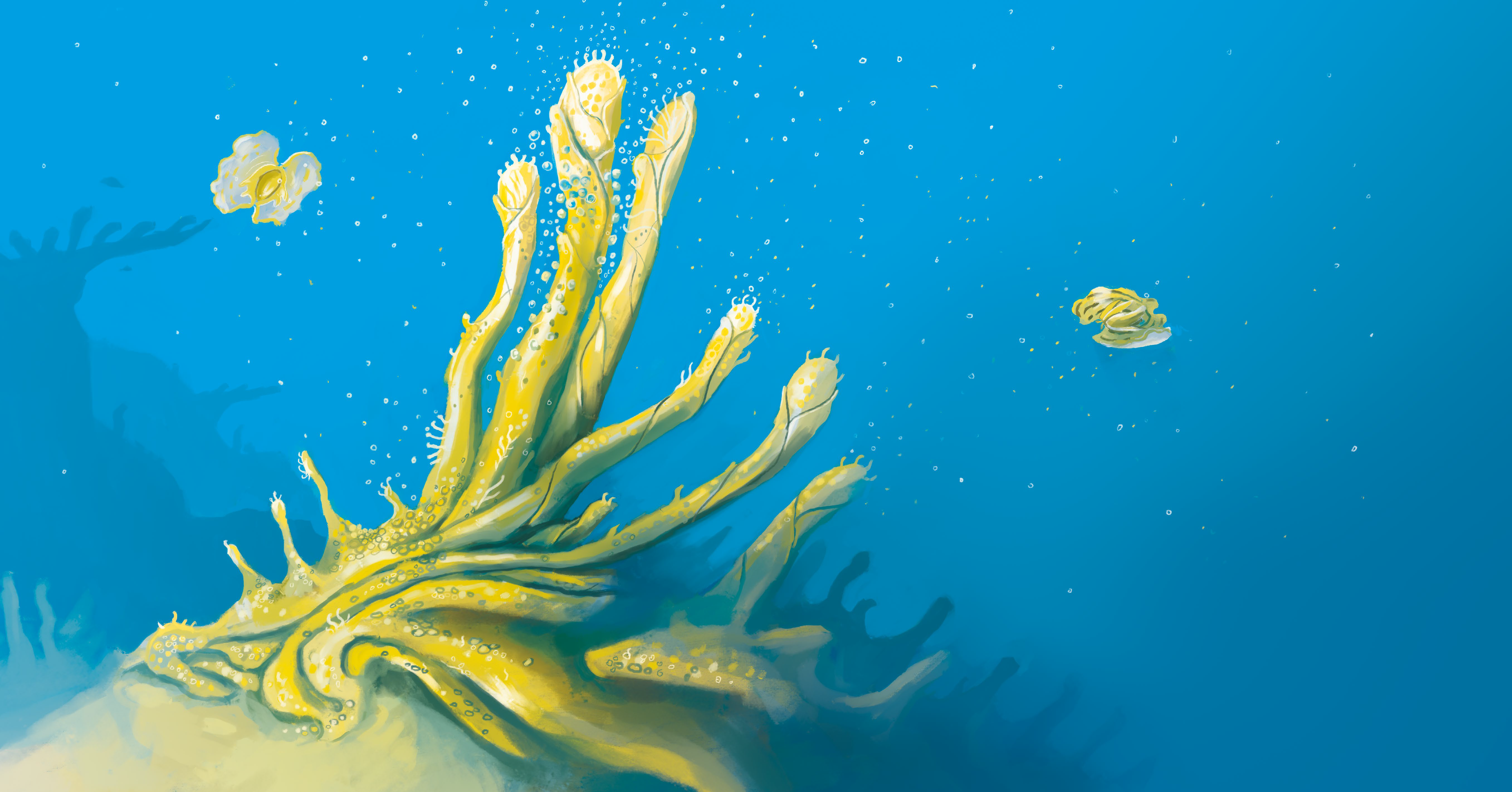 user avatar image for Epimus