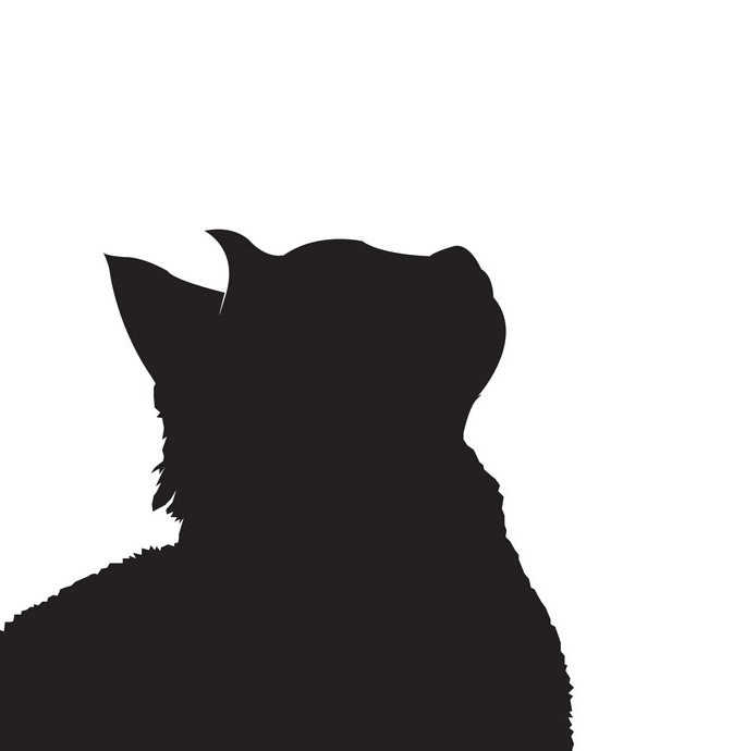user avatar image for Enjoyer of Board Games