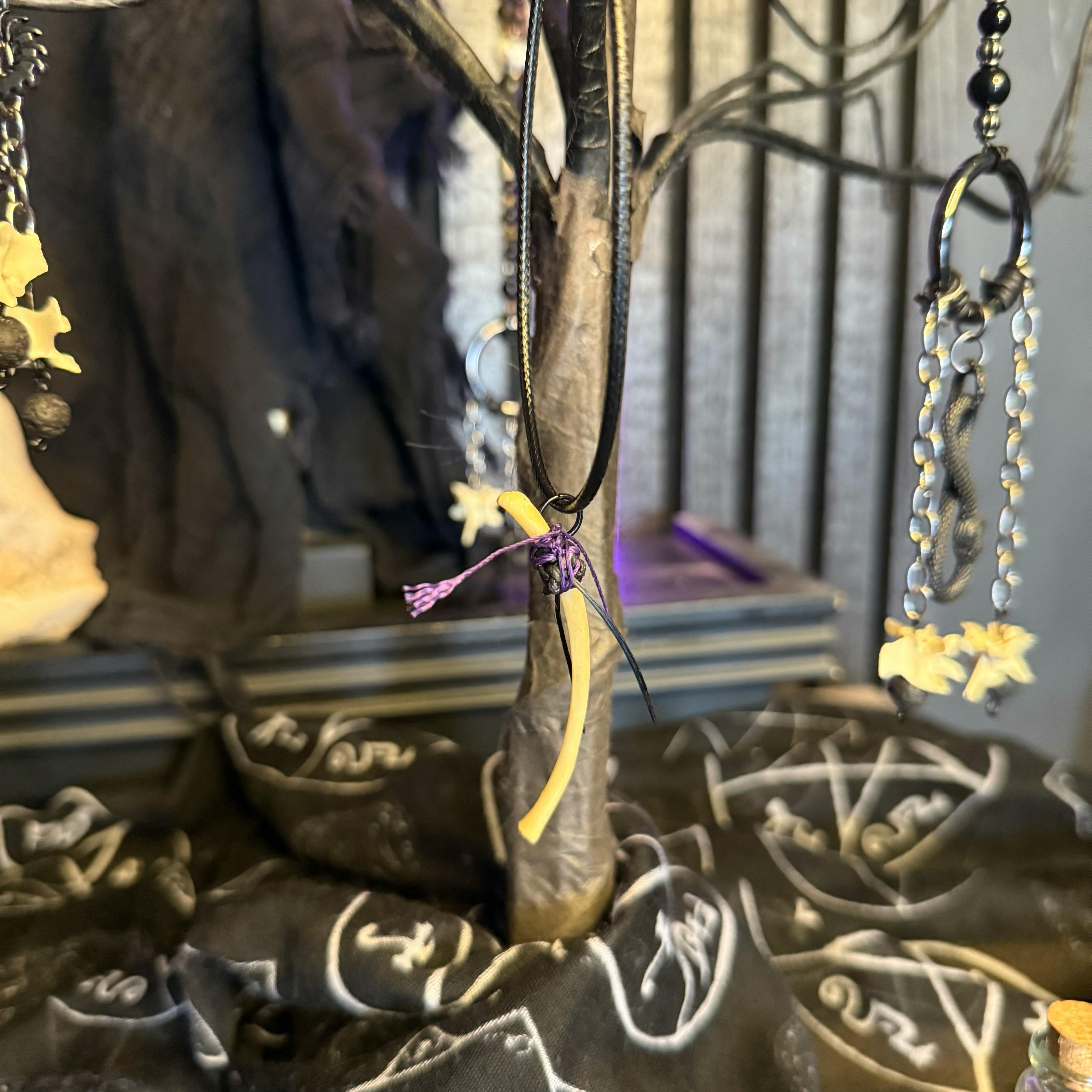 Coven Amulet Edition
