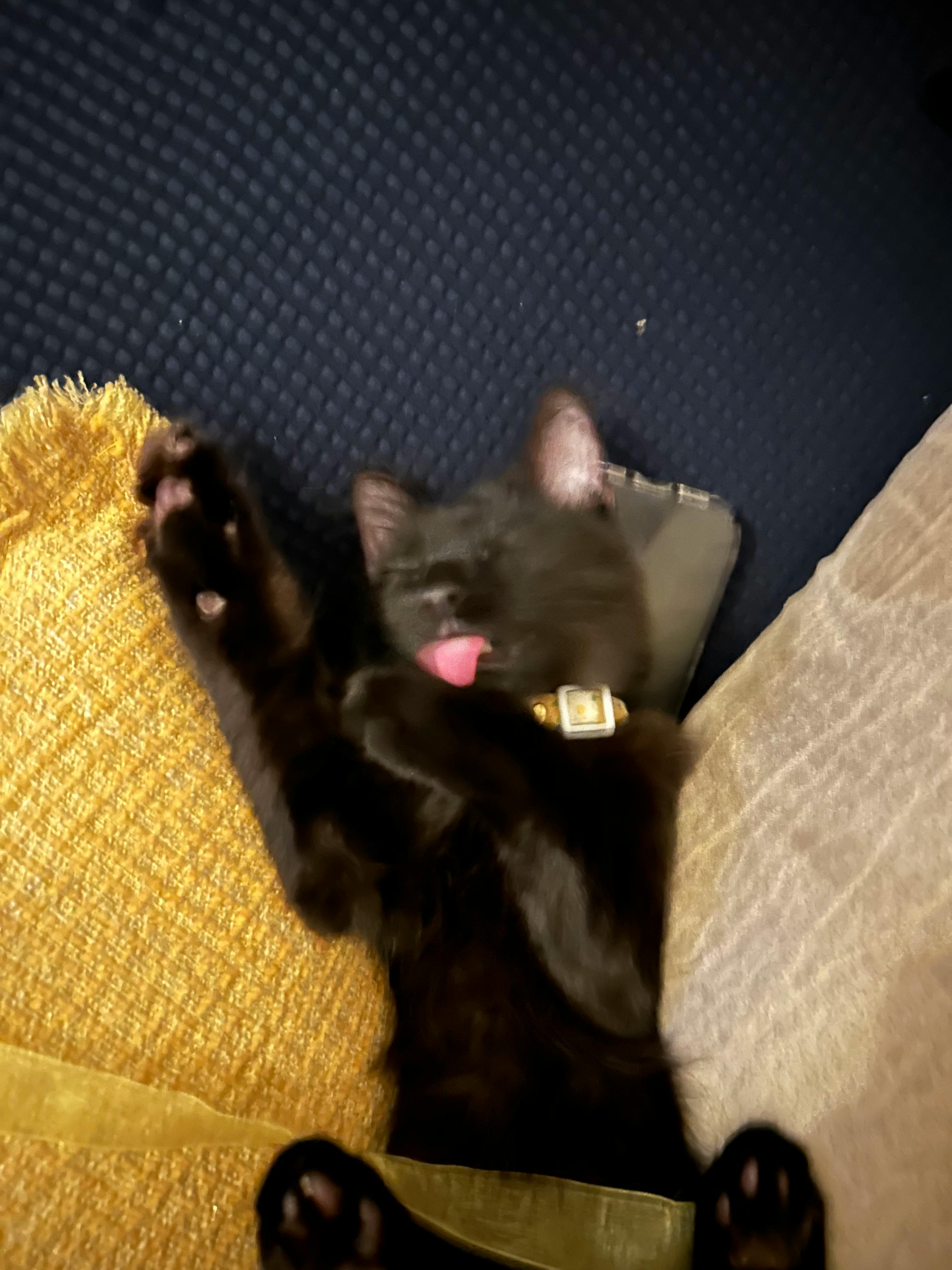 user avatar image for Muwun