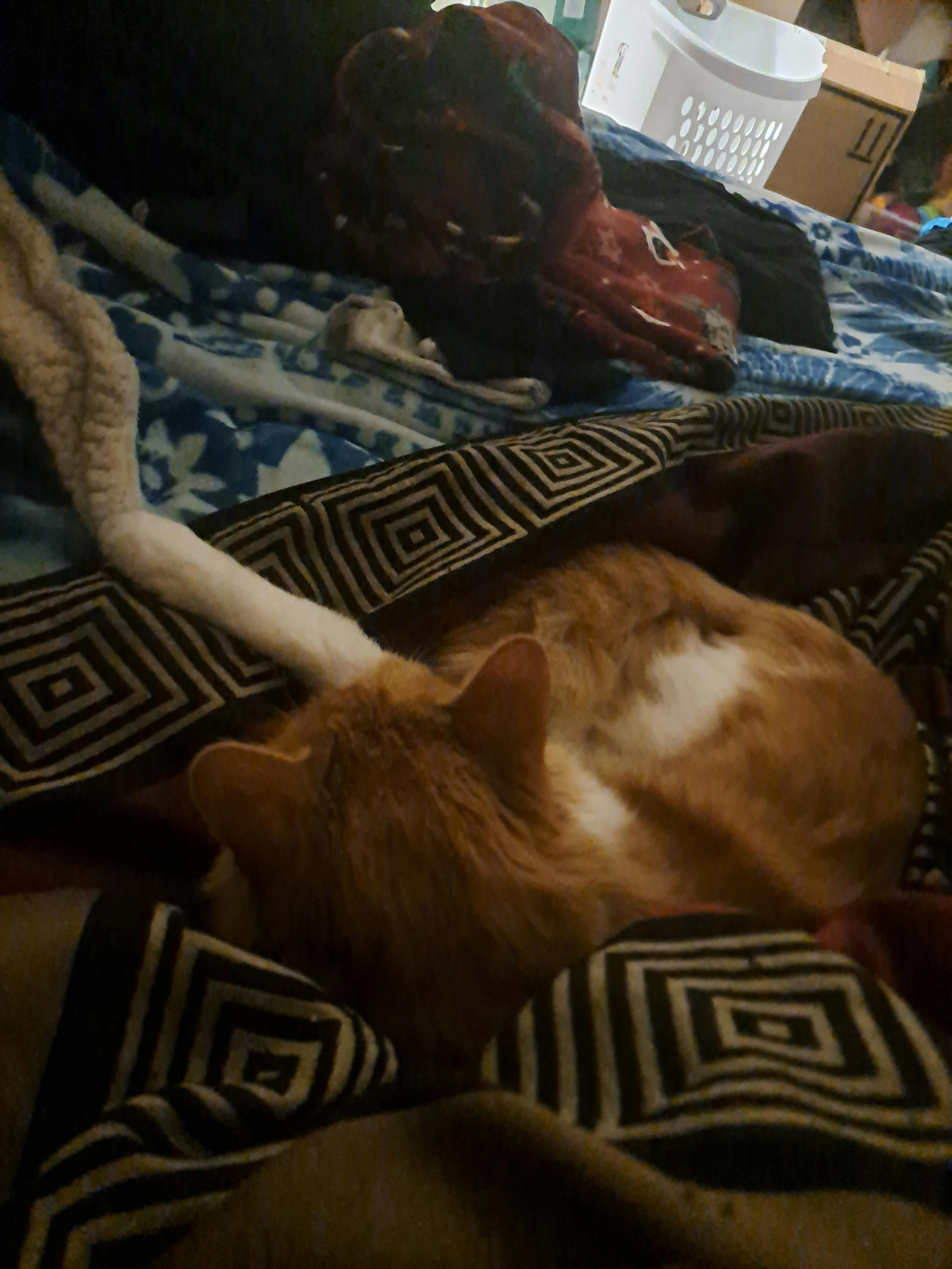 user avatar image for Elizabeth