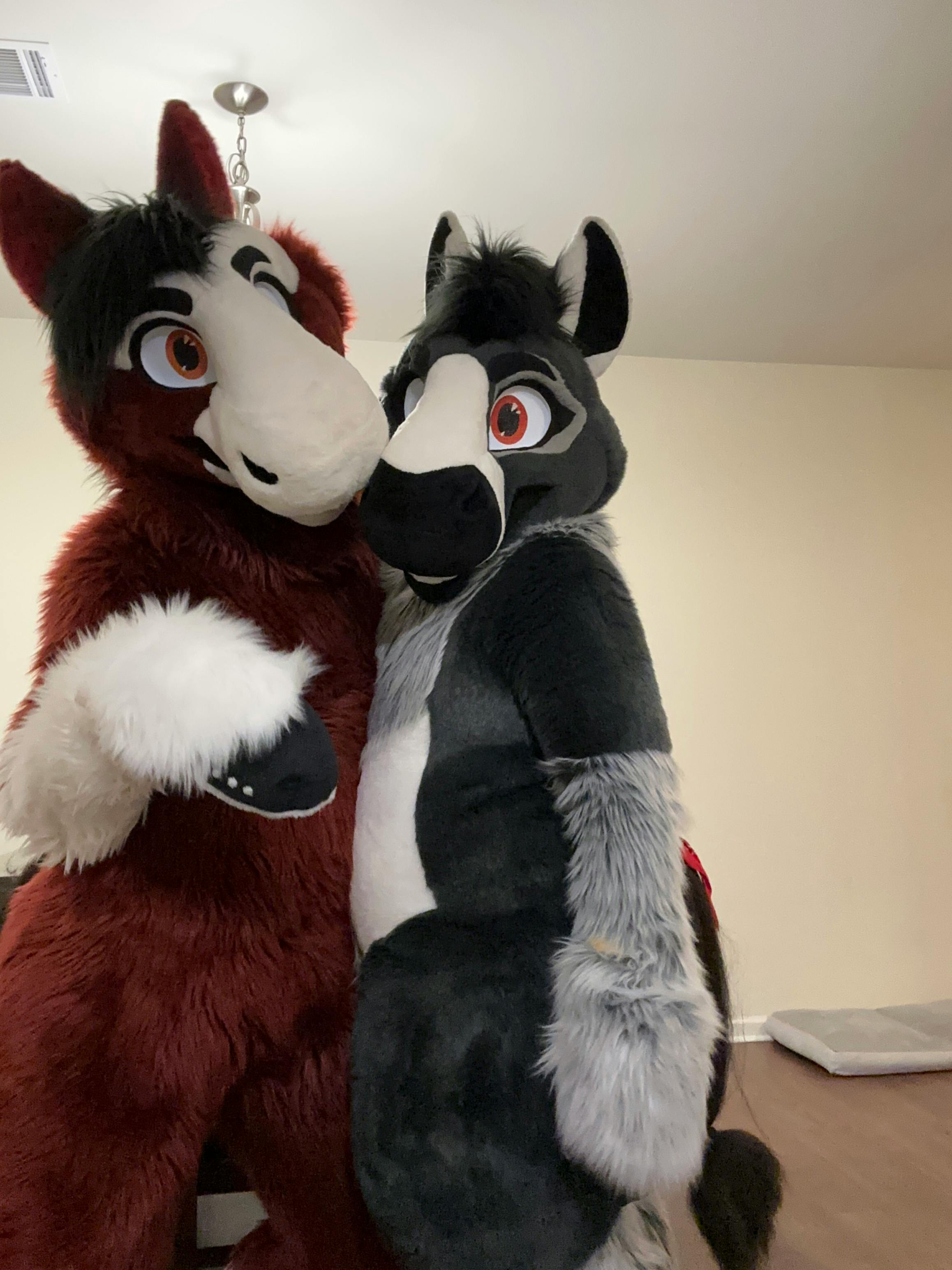 user avatar image for RedHorseCreature