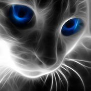 user avatar image for Abrilete