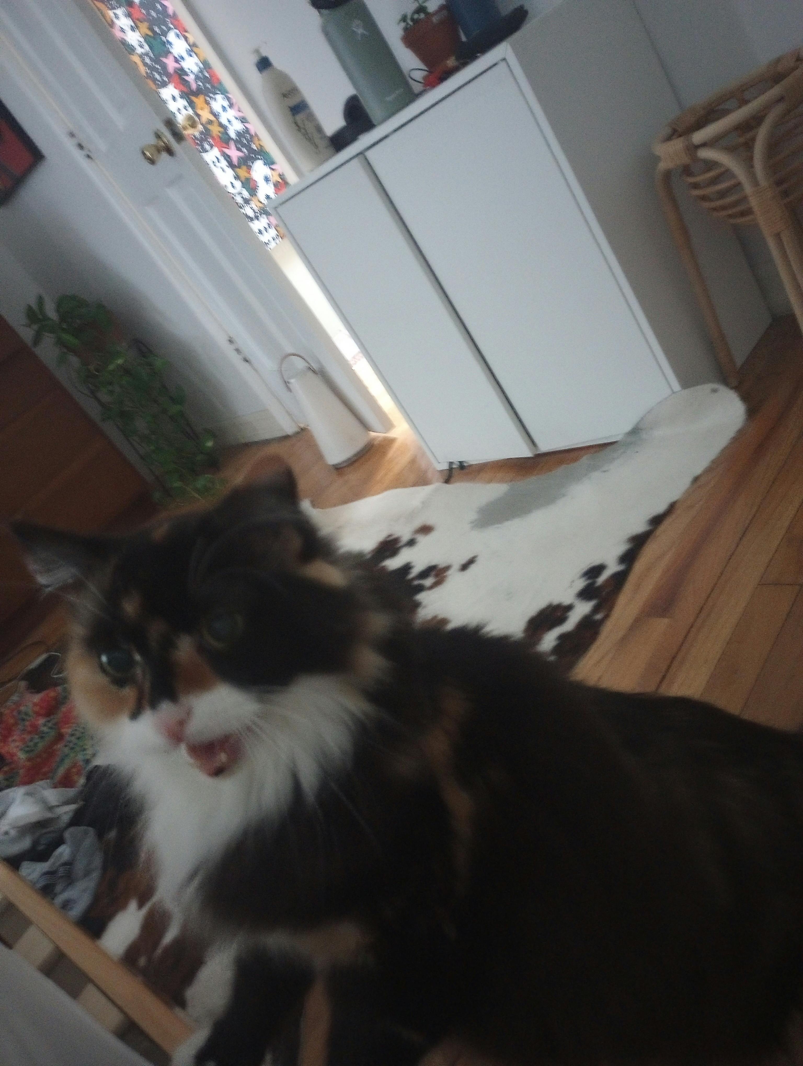 user avatar image for Zakaria El Tanamli 