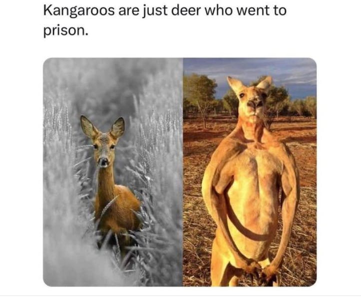 user avatar image for Jushy