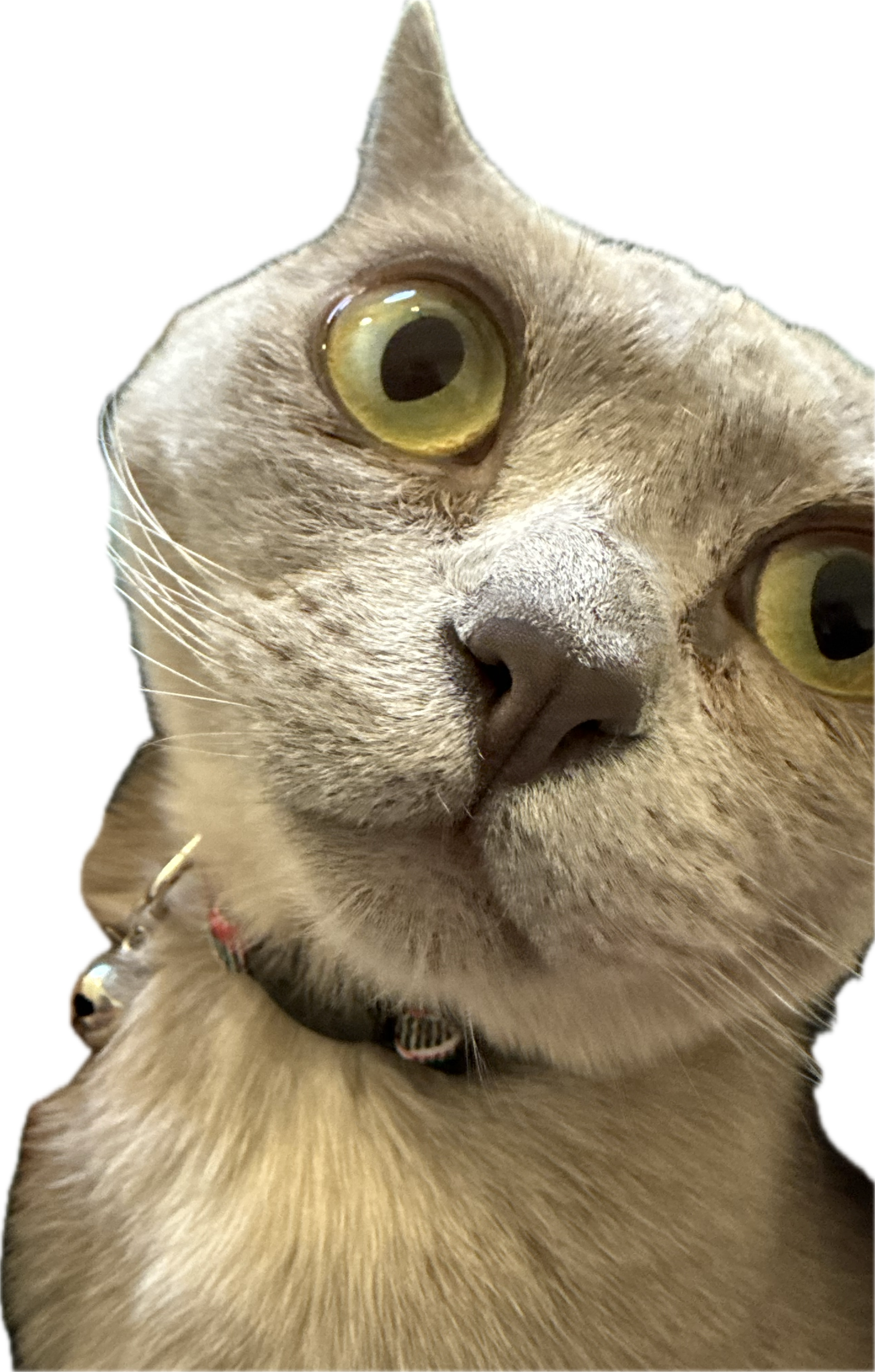 user avatar image for Joshua