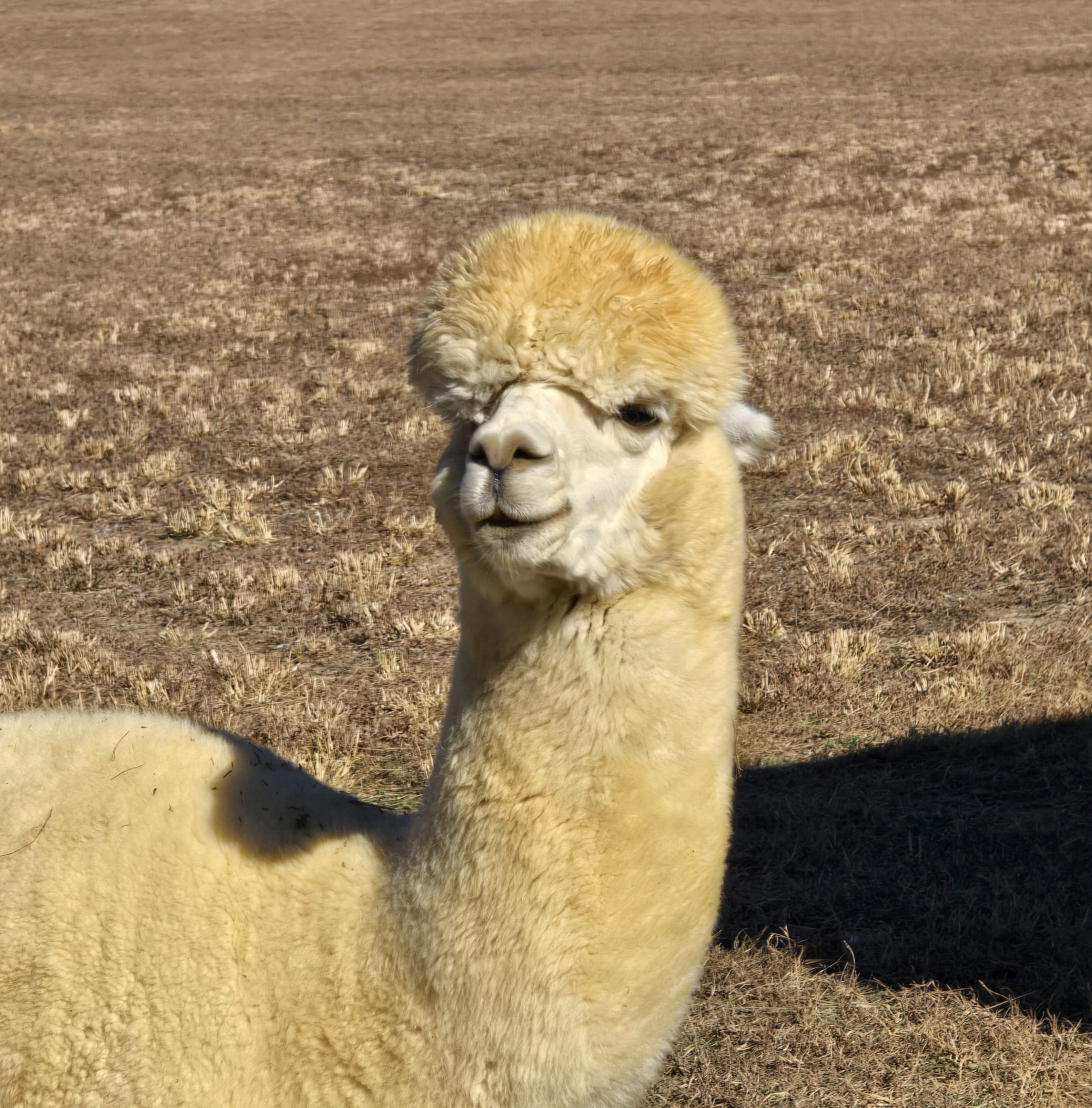 user avatar image for Frankie 