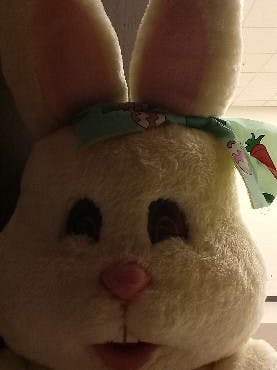 user avatar image for ScribePuffin