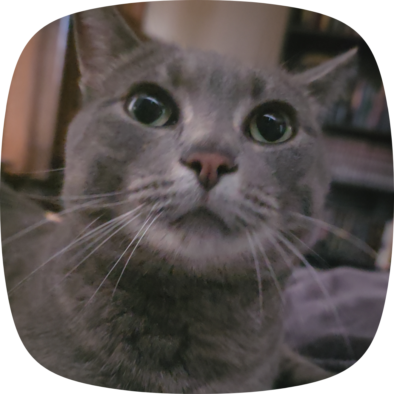 user avatar image for Elizabeth Nanfeldt 