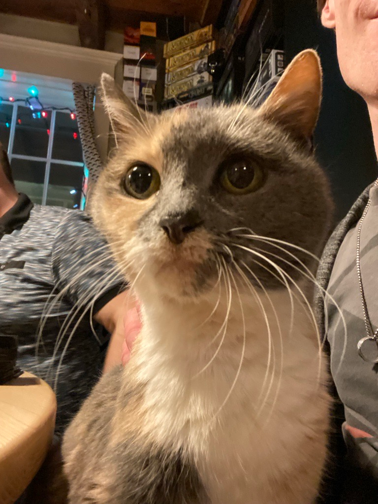 user avatar image for Eggs