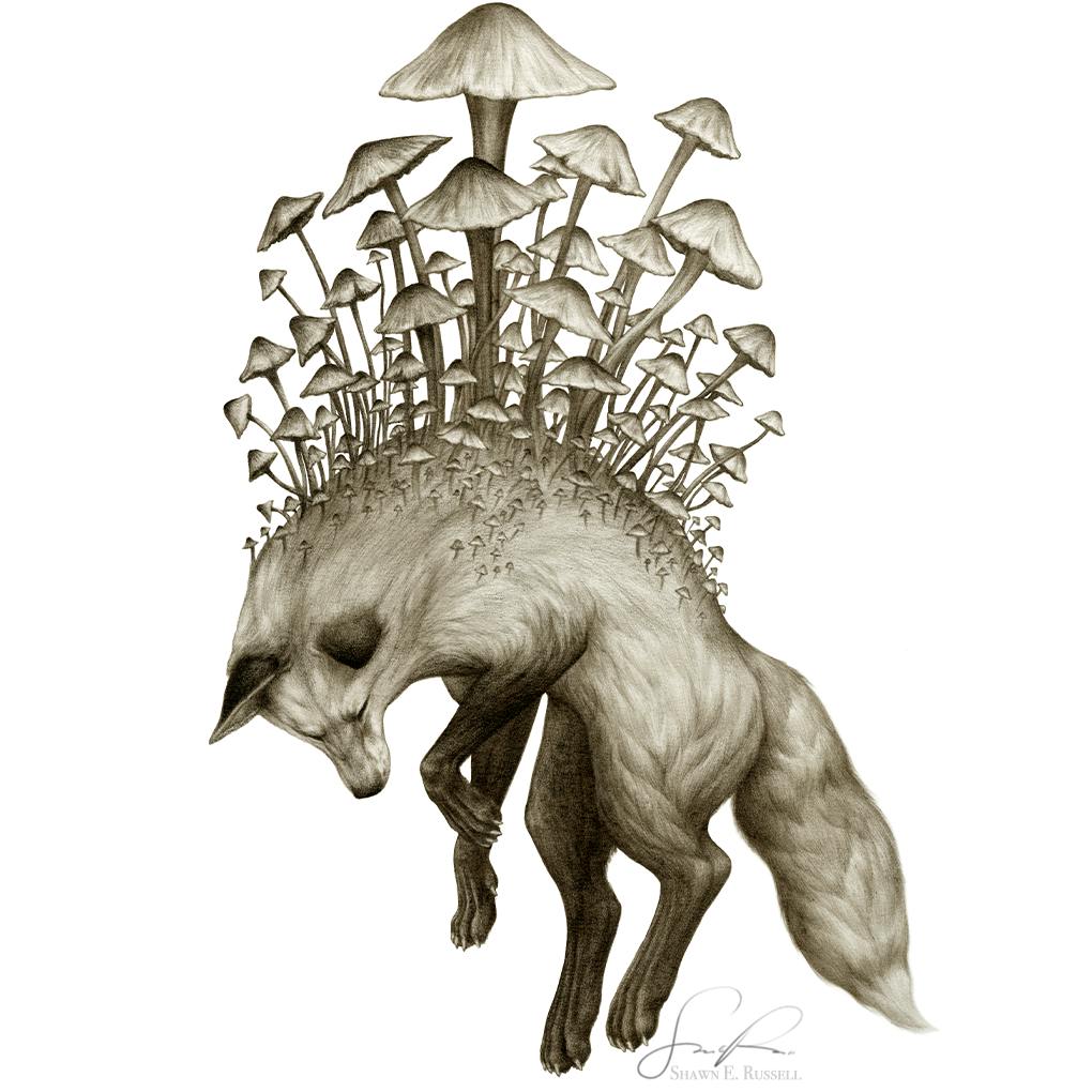 user avatar image for Shawn E Russell