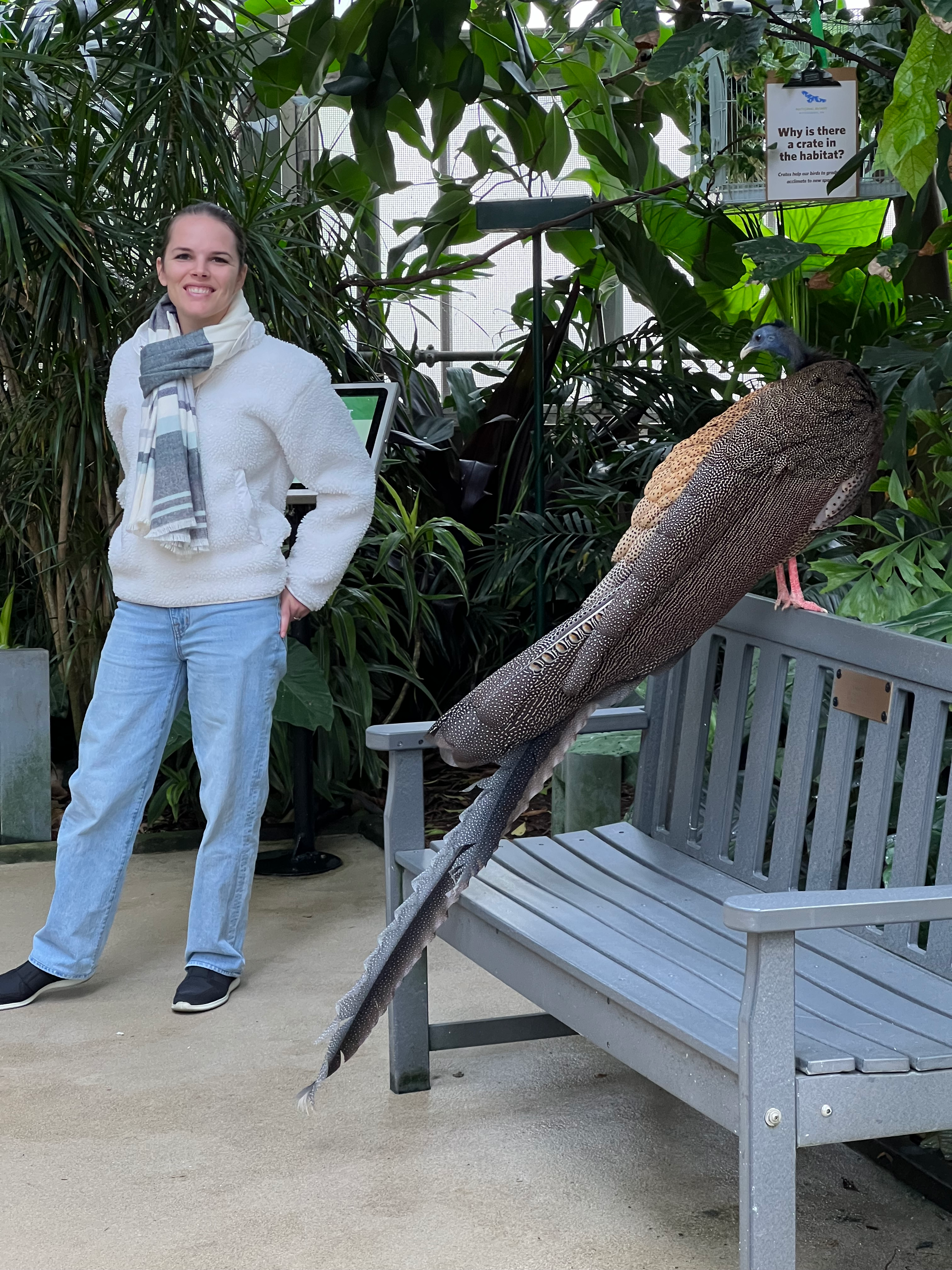 user avatar image for Aurossa