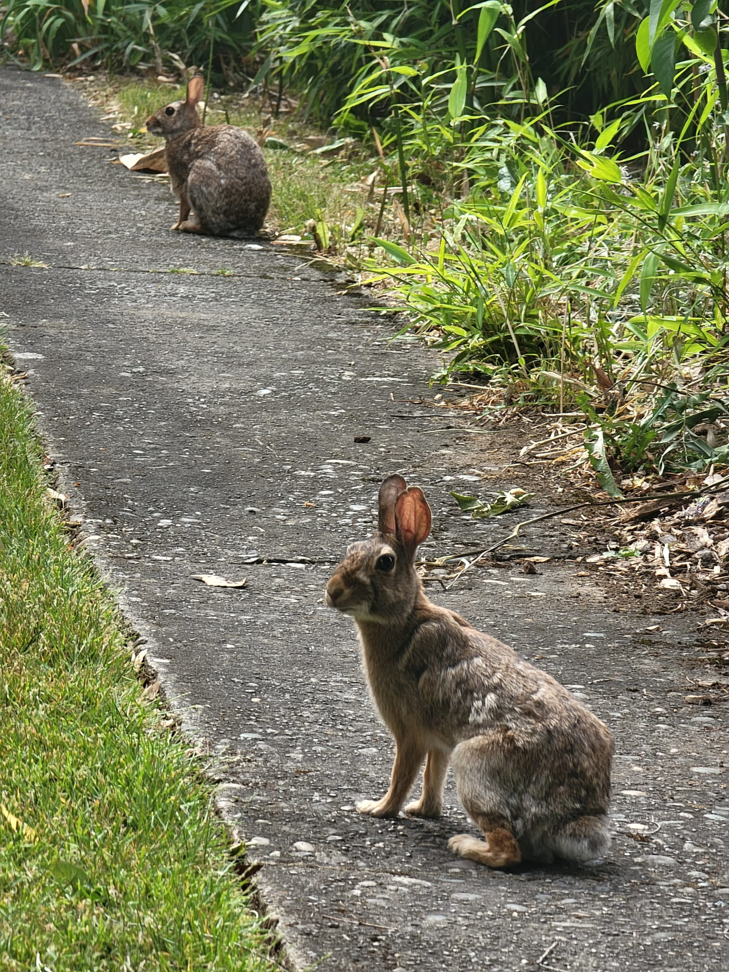 user avatar image for Robin Herrera