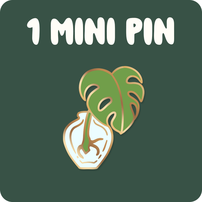 1 Pin