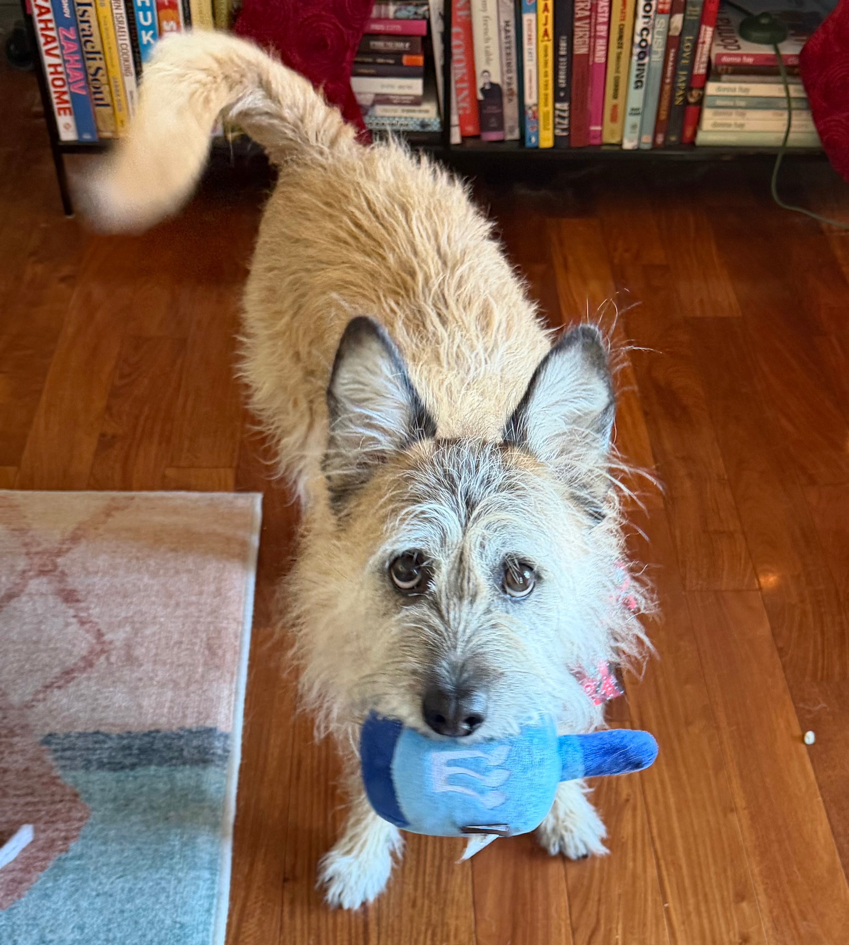 user avatar image for Jason Burke