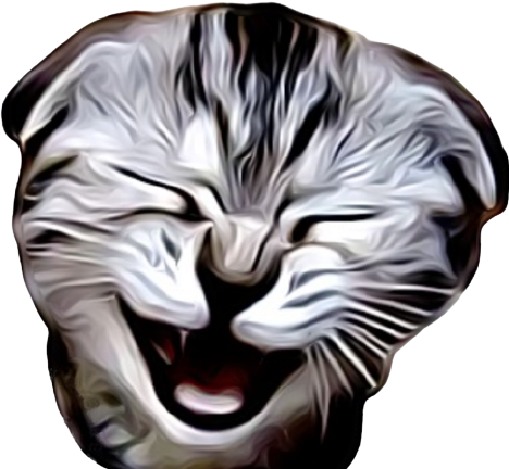 user avatar image for Cap