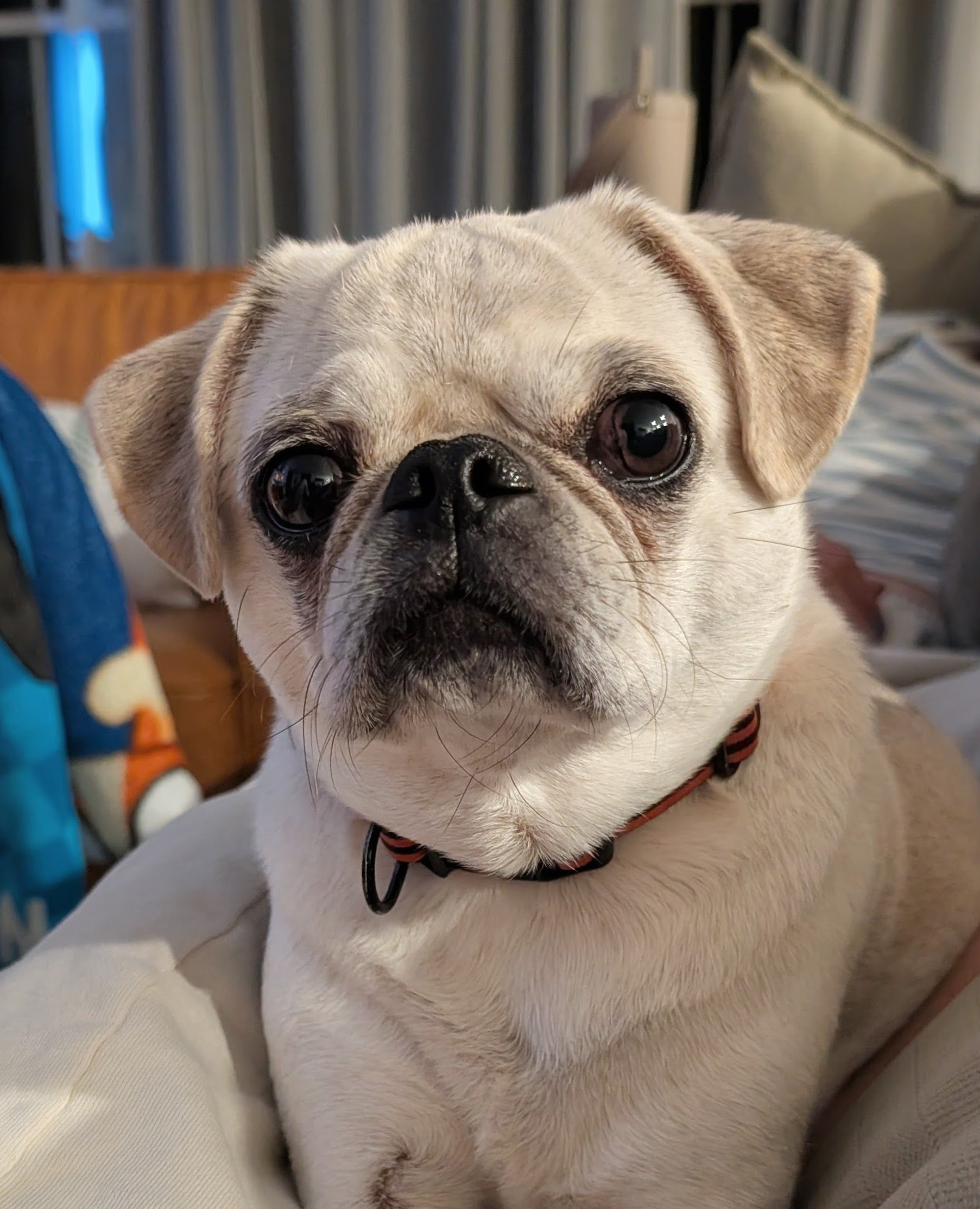 user avatar image for Mason Kemmerer