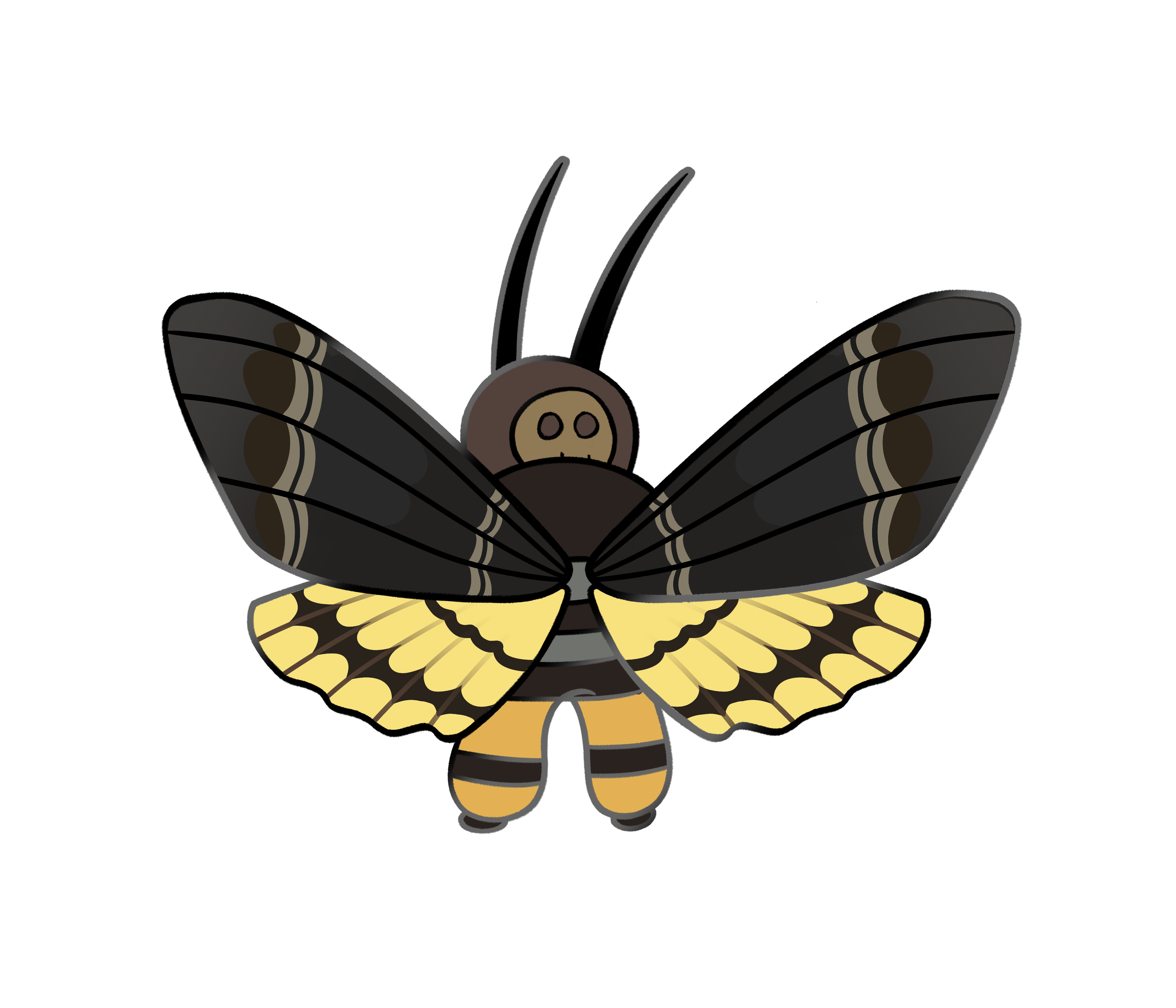 Death Head Moth