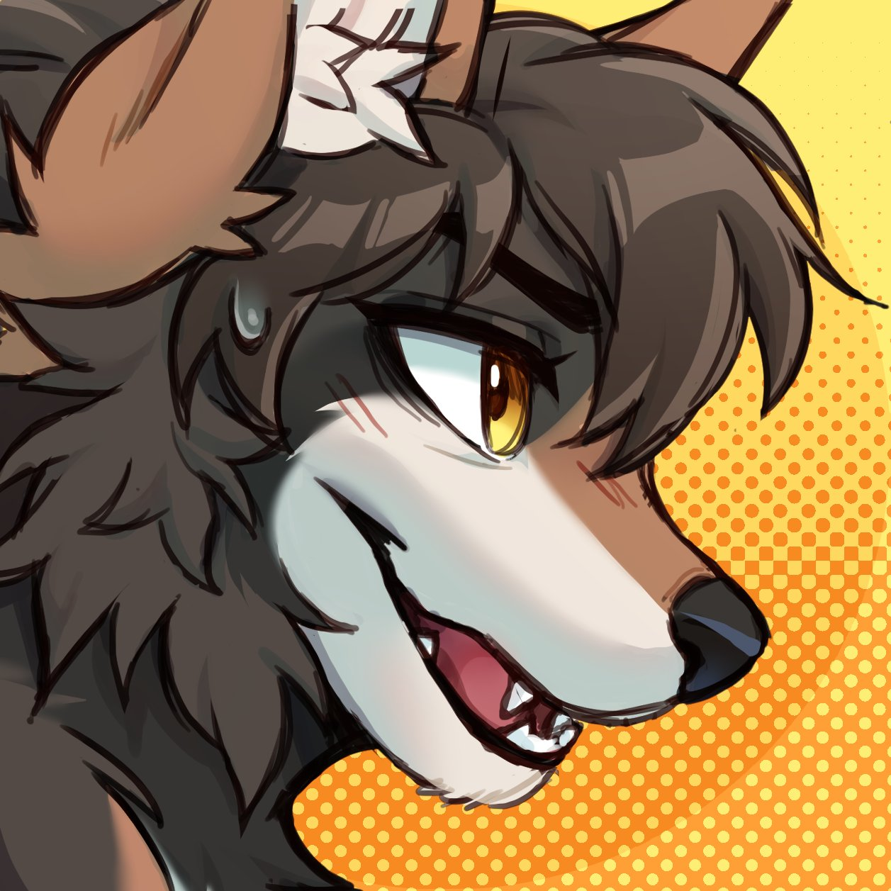 user avatar image for MatzuKatzu