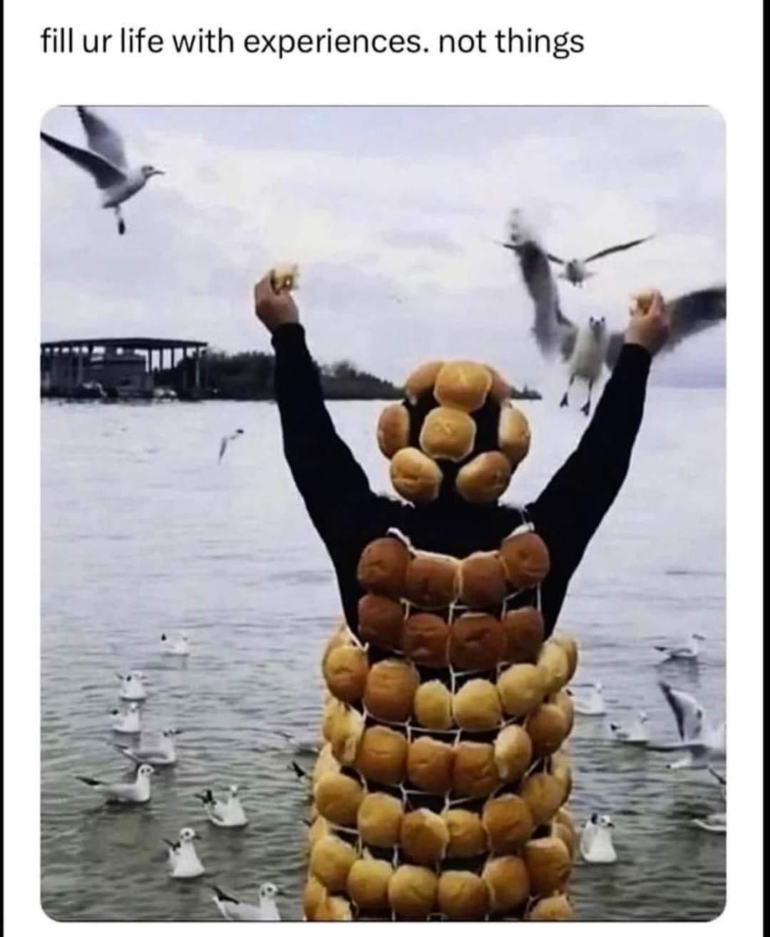 user avatar image for Dplum