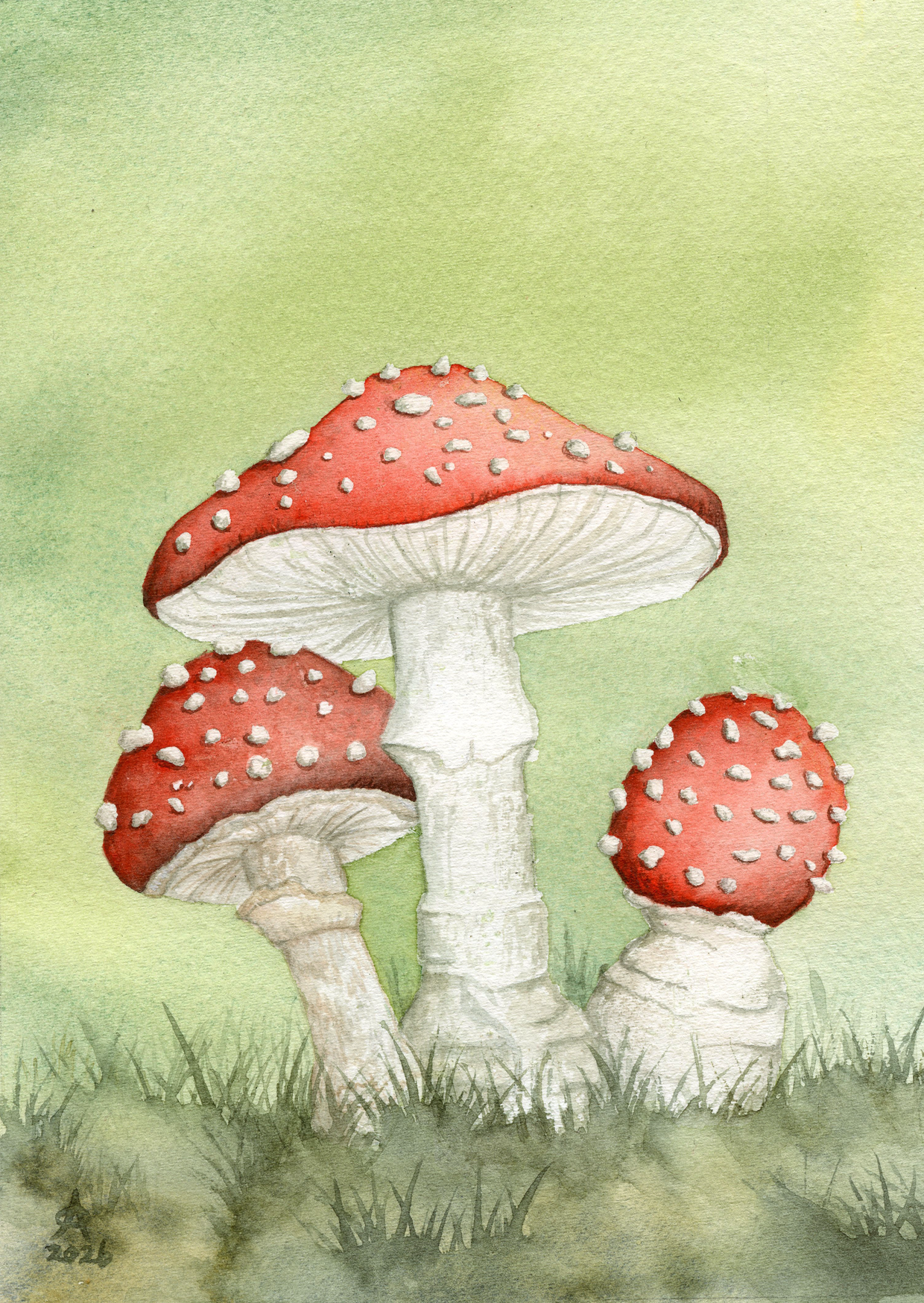Fly Agaric