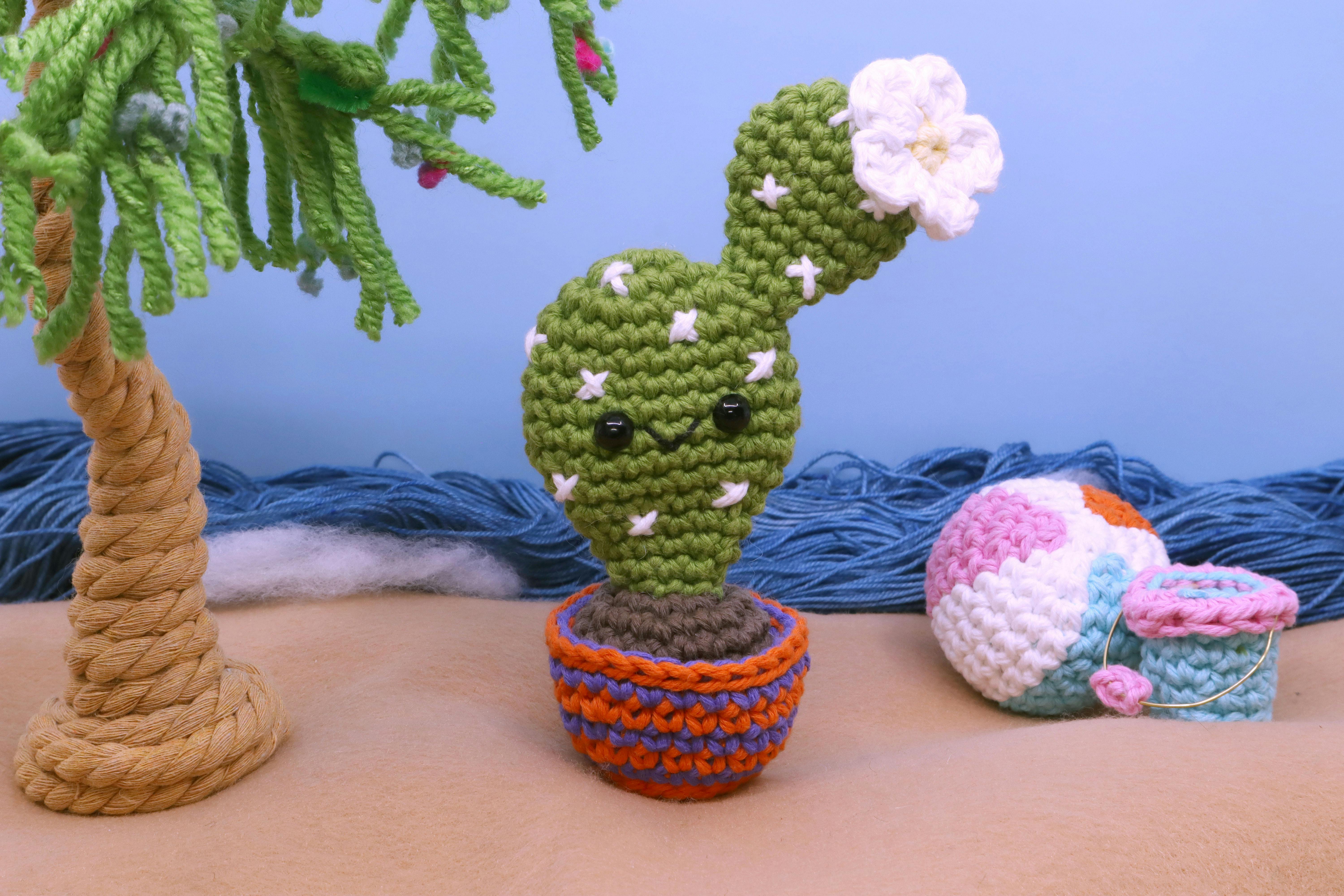 Franky the Cactus