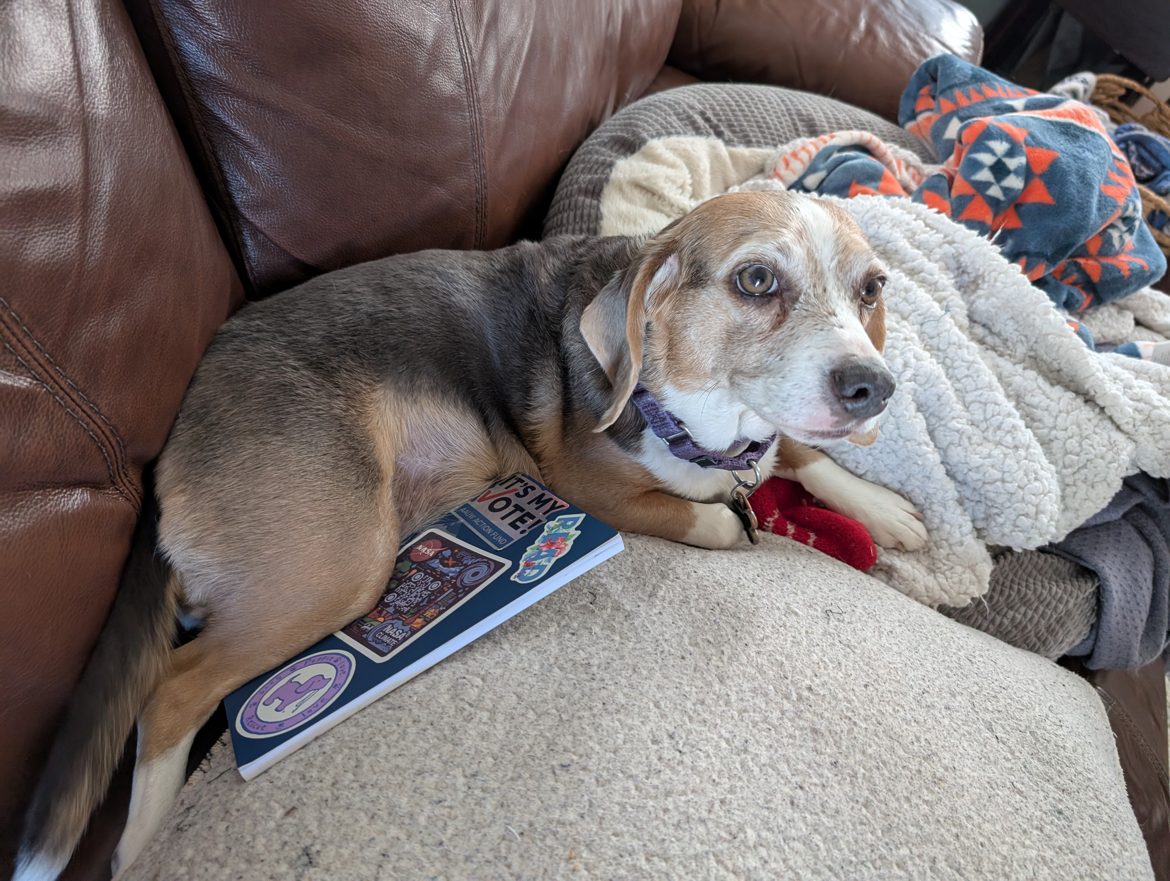 user avatar image for Kevin