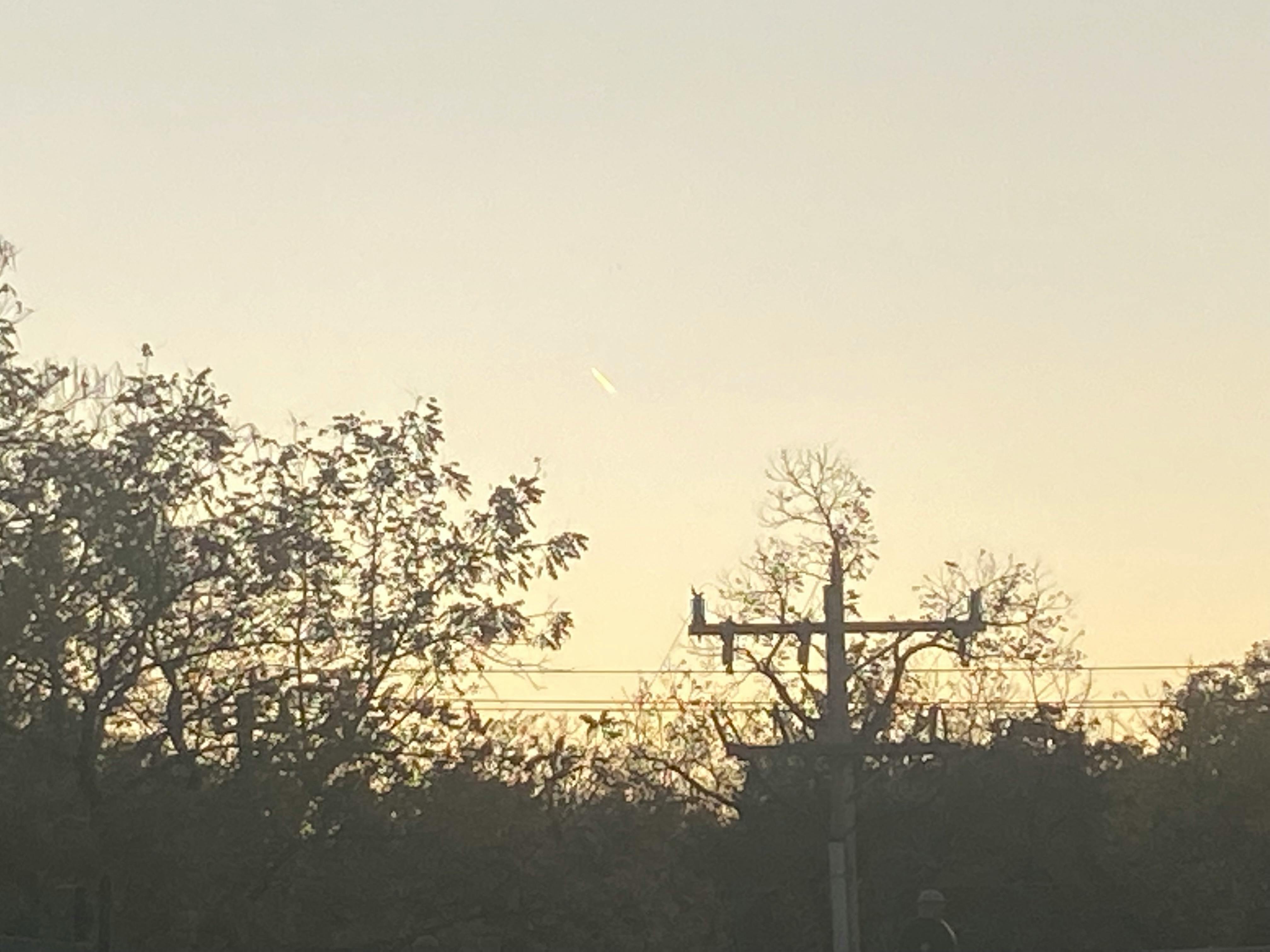 user avatar image for Molly