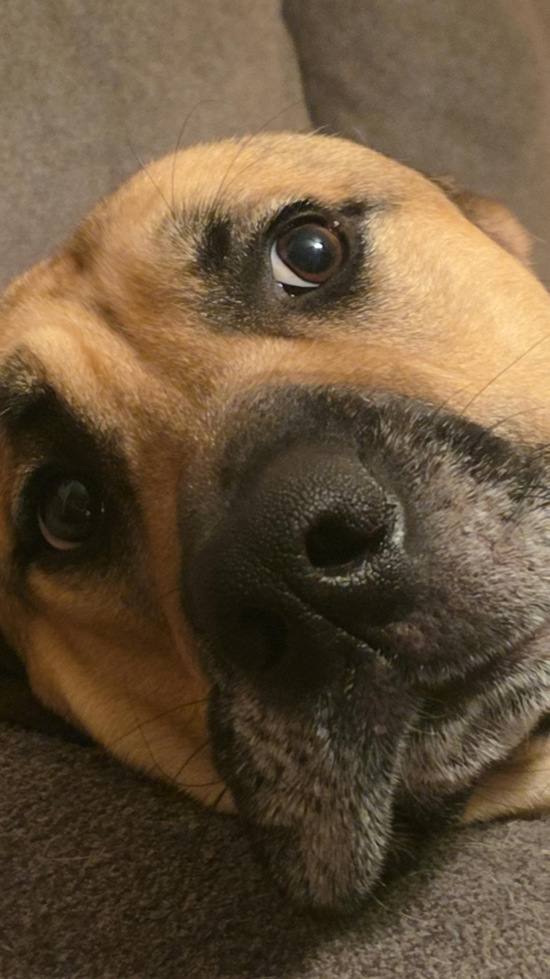 user avatar image for Geena Zamzow