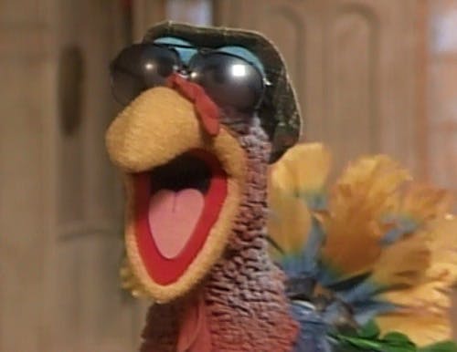 user avatar image for Shteve