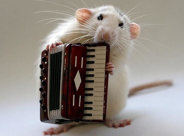 user avatar image for Ezra Walker