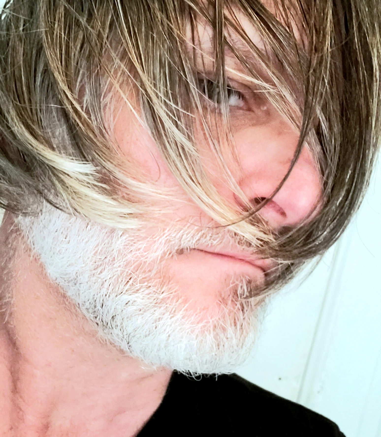 user avatar image for Donald Metzler 