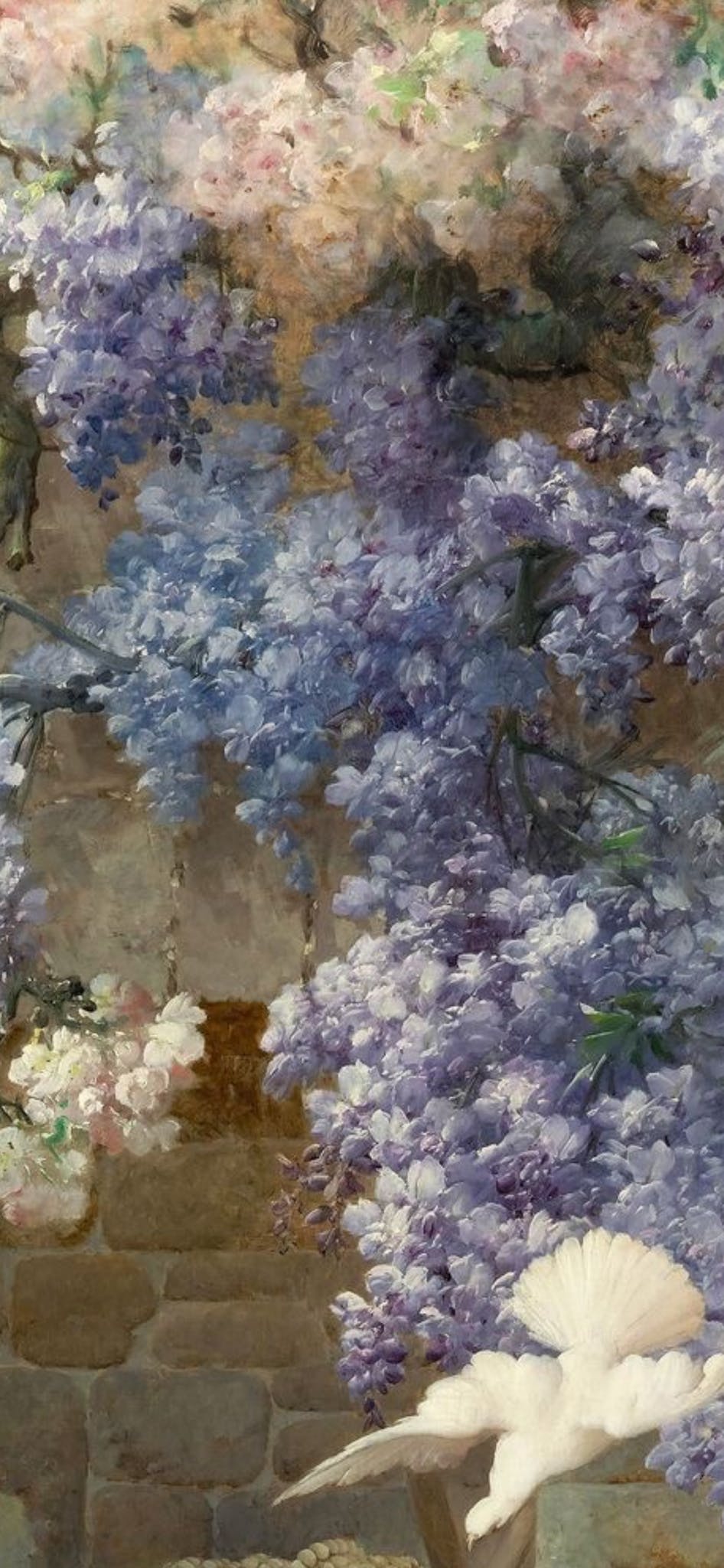 user avatar image for Ciara