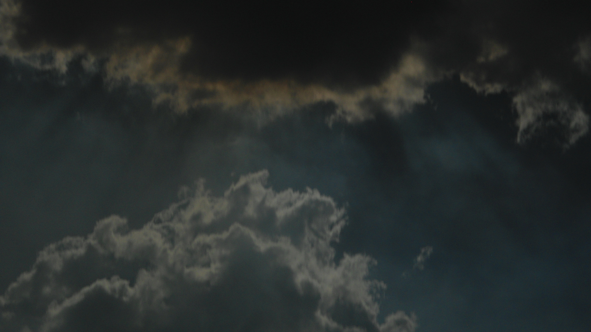 user avatar image for rog