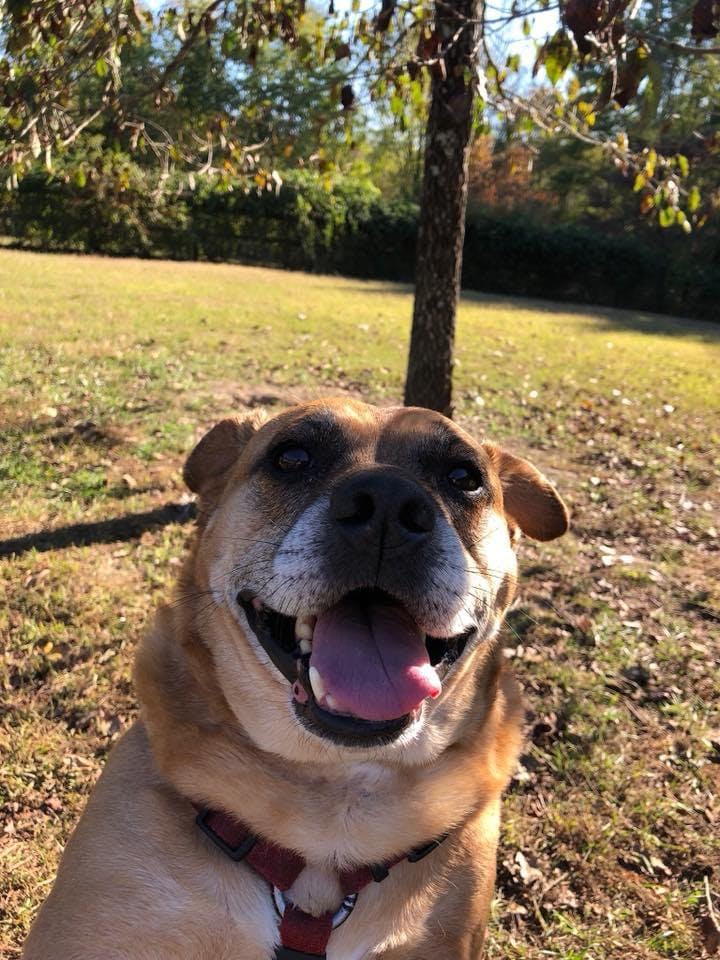 user avatar image for Helen Vanek-Bigelow