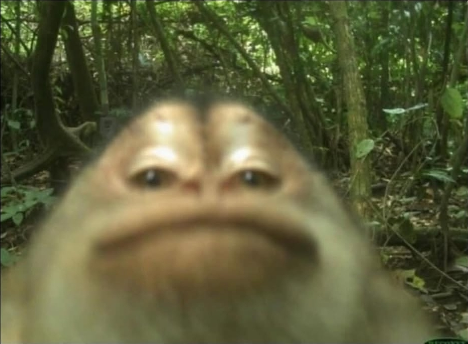 user avatar image for MattArnold'sWetThing