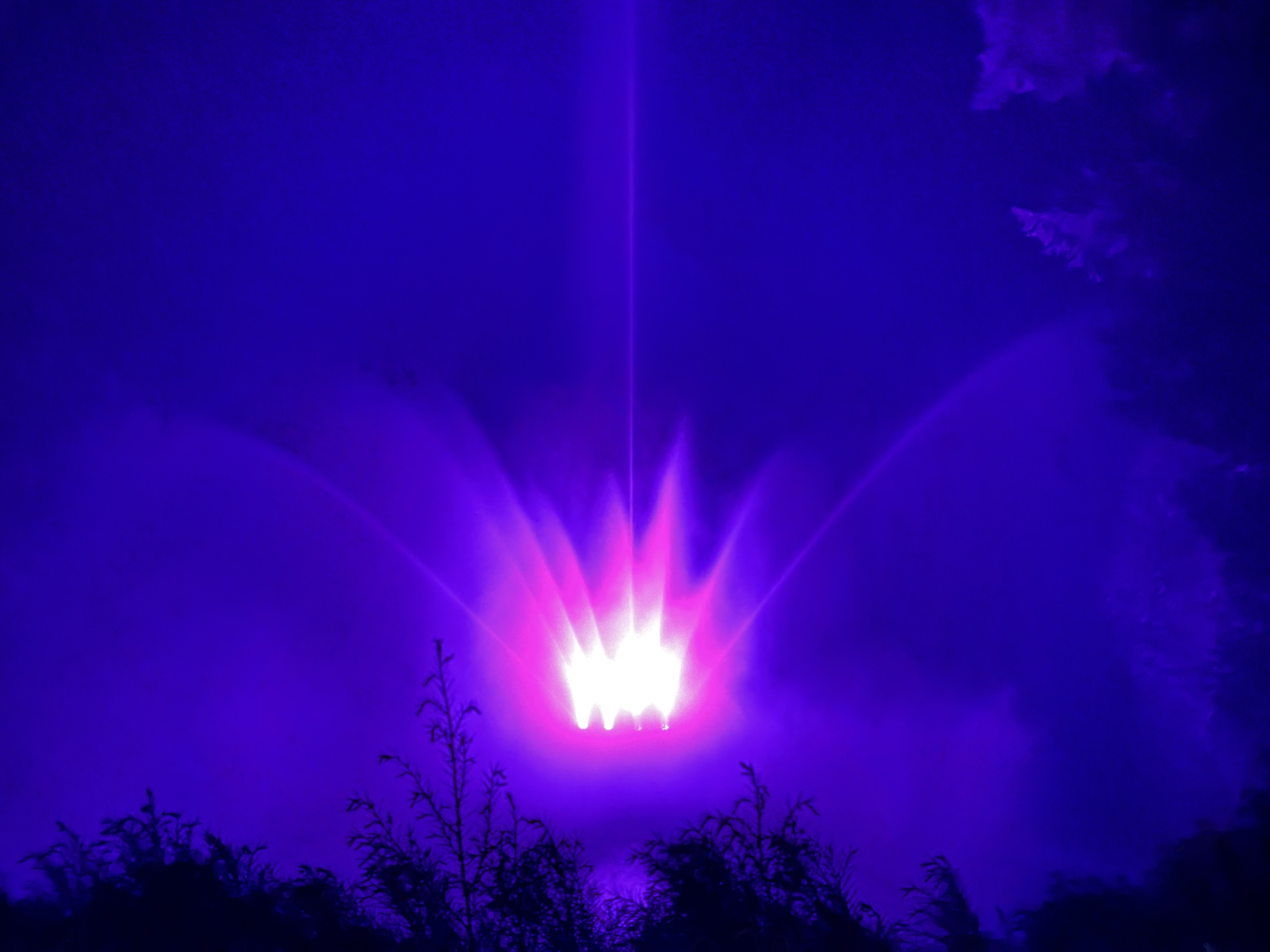 user avatar image for Vivid Sundays