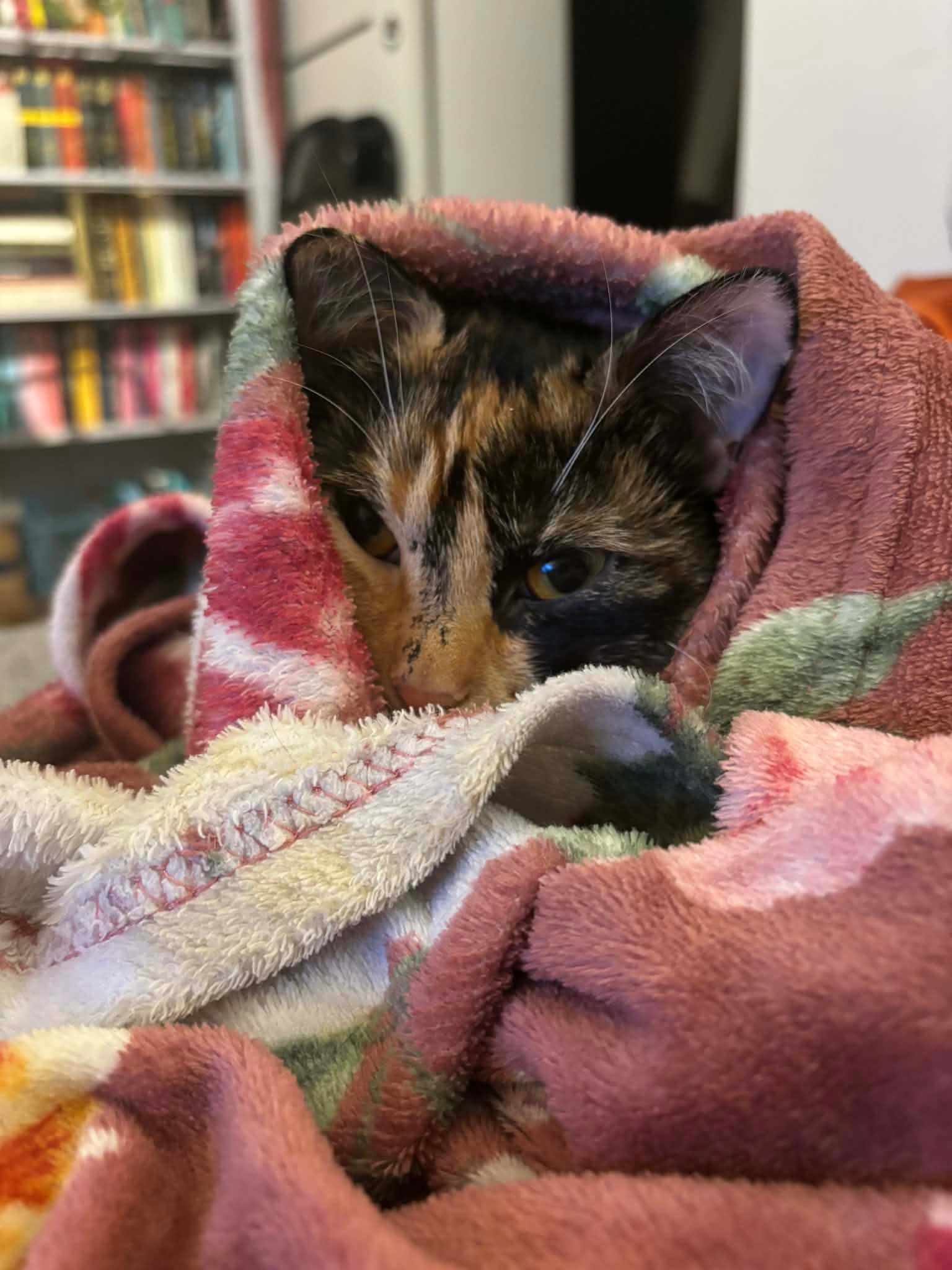 user avatar image for Edyta Janicka