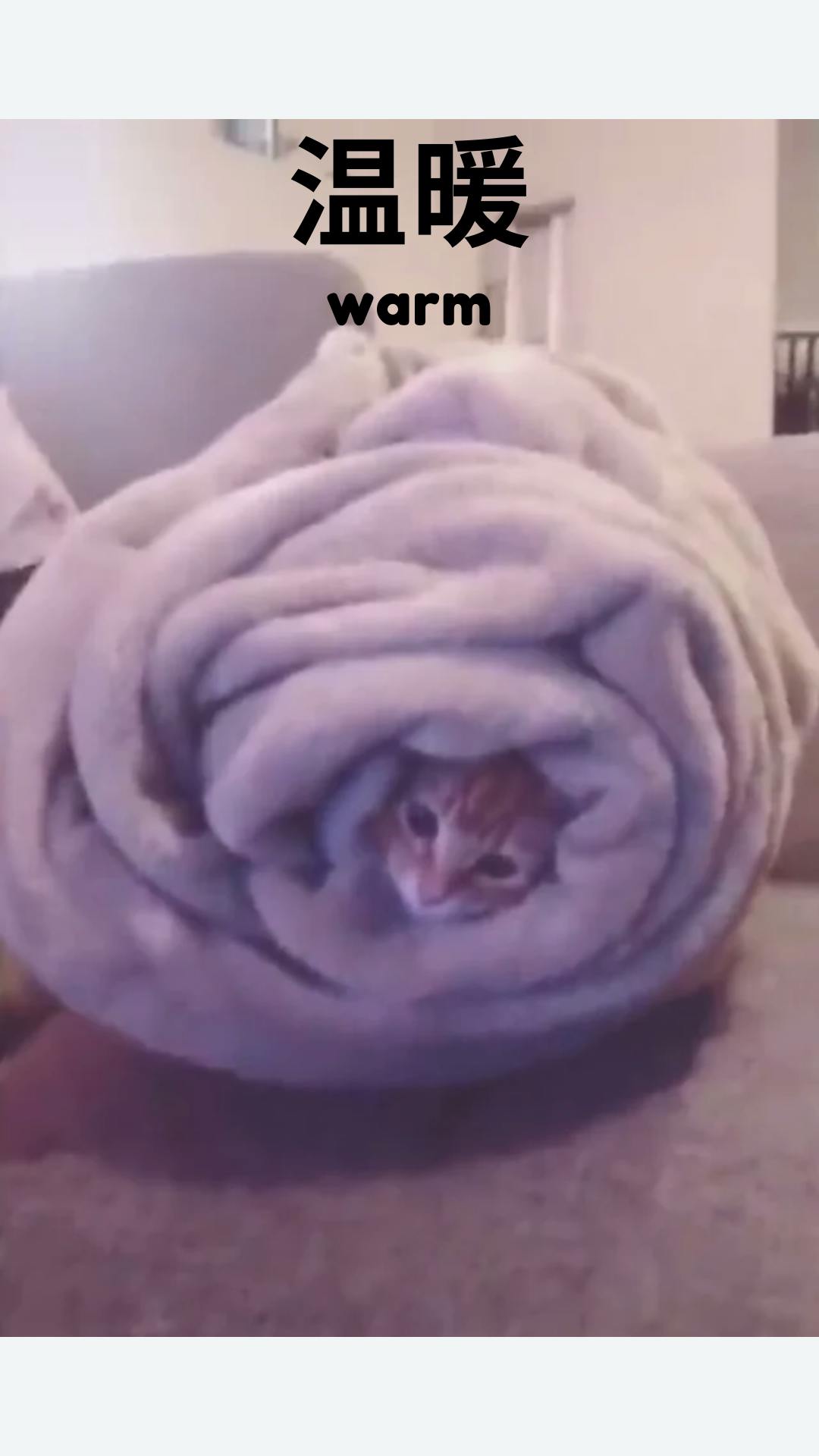 user avatar image for scorpio85electricyer