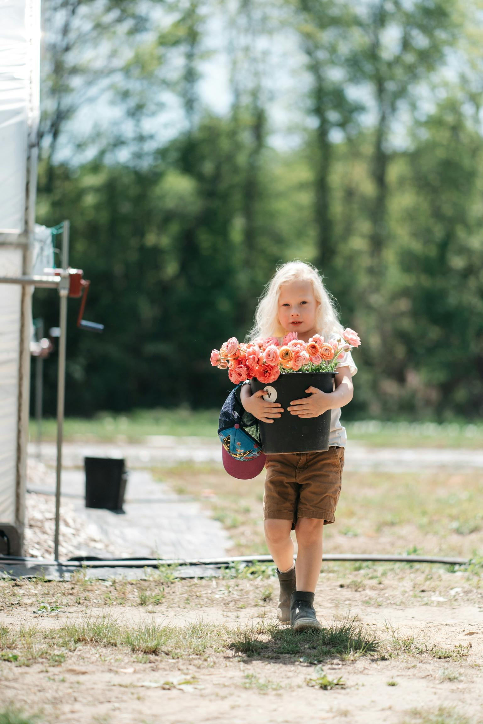 user avatar image for Krissy