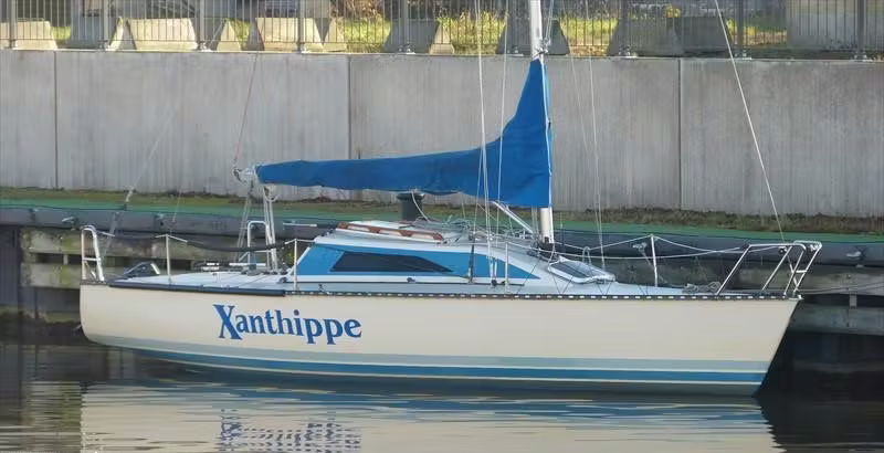 user avatar image for Xanthippe