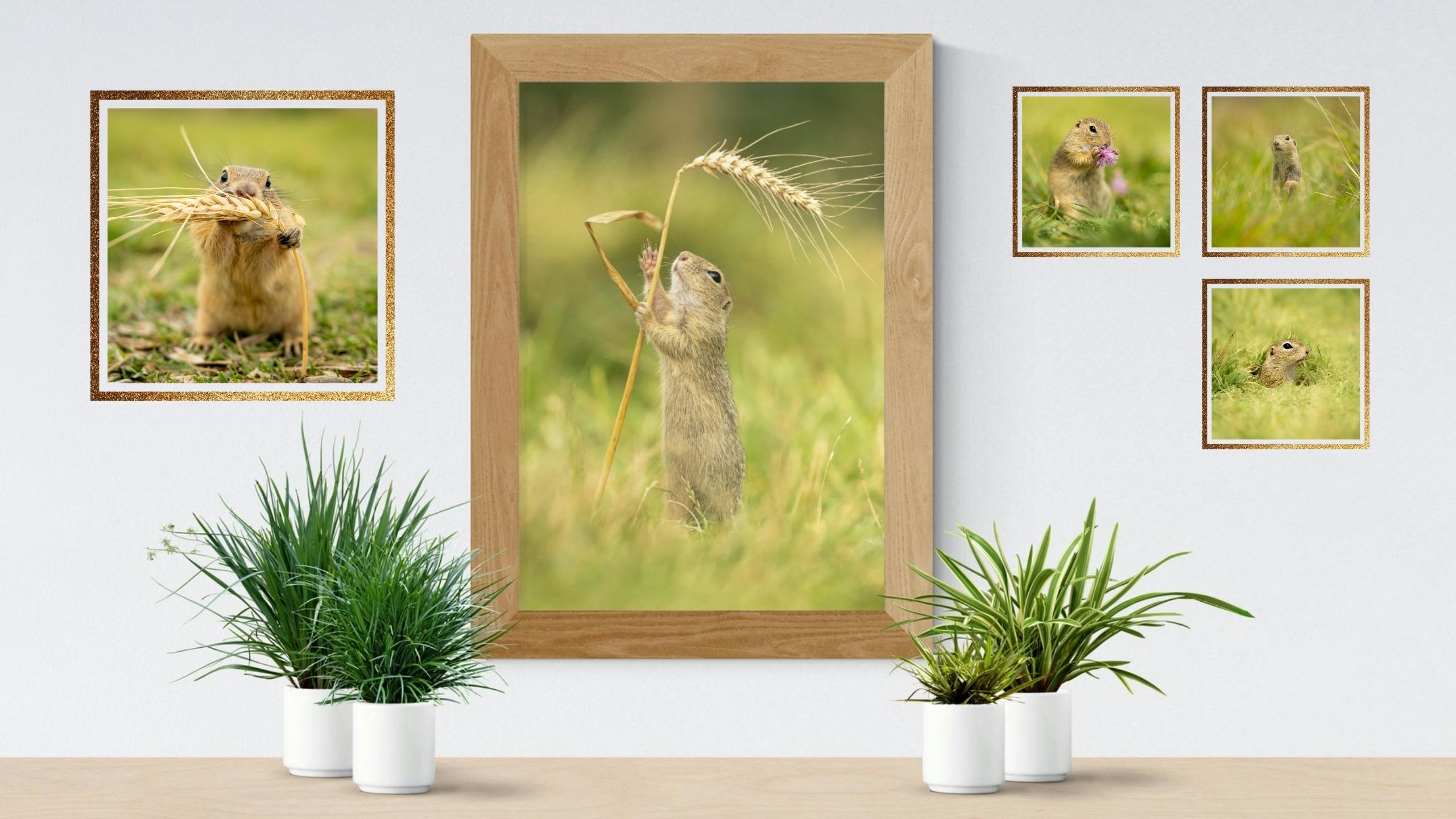 Gopher Pins