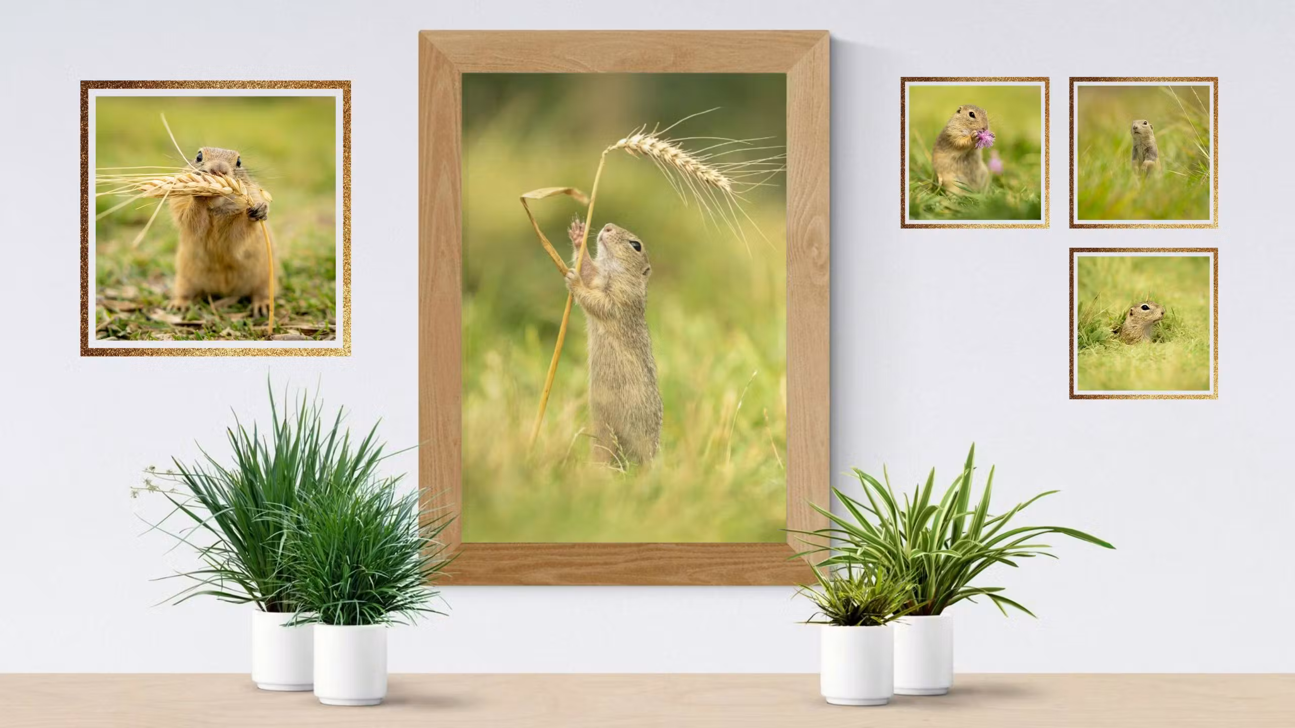 Gopher Pins