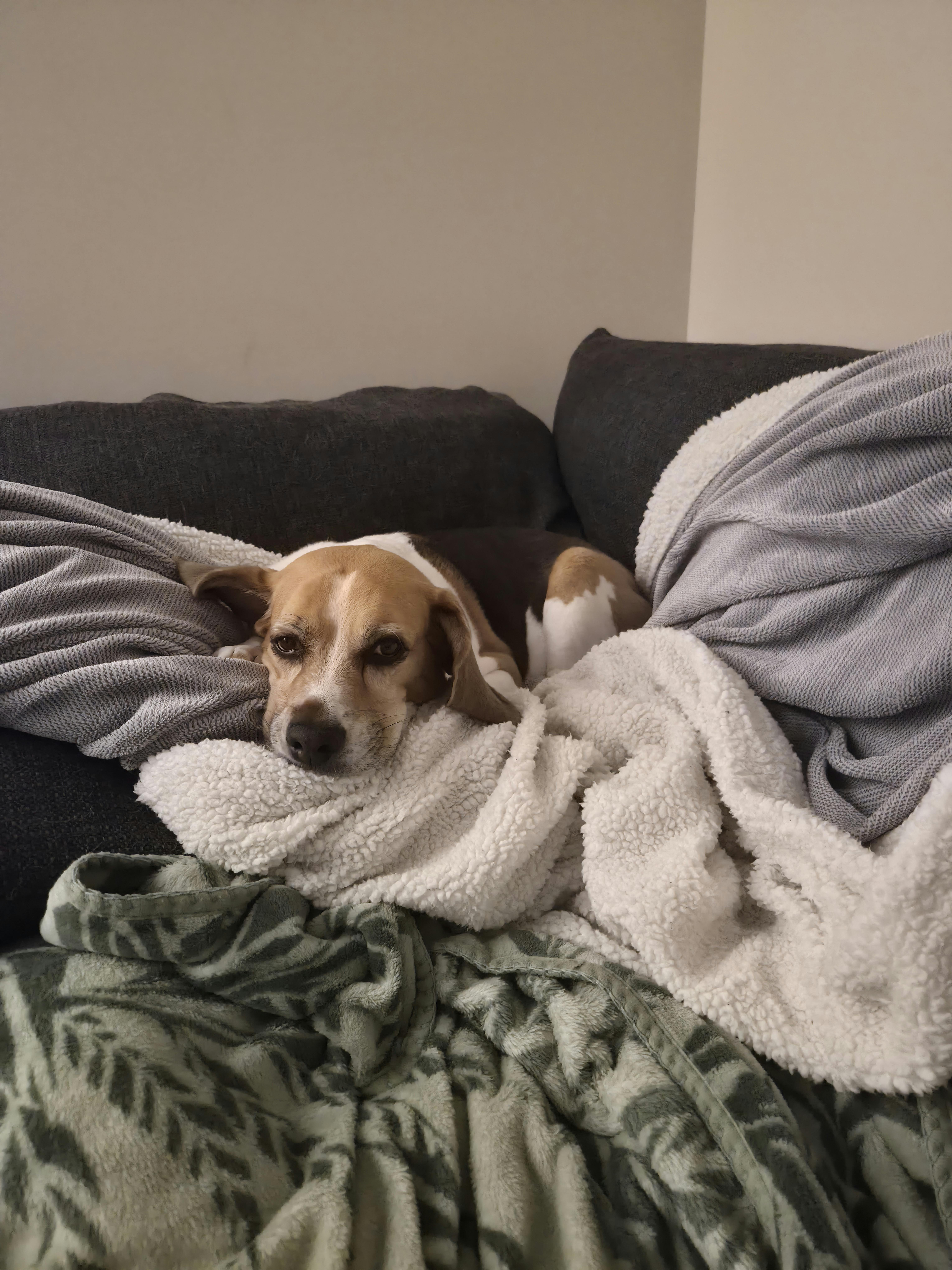 user avatar image for Jordan