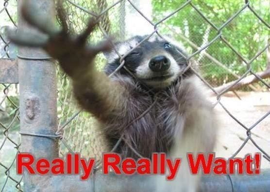 user avatar image for Allyn