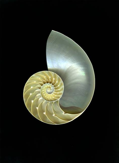 user avatar image for noupha