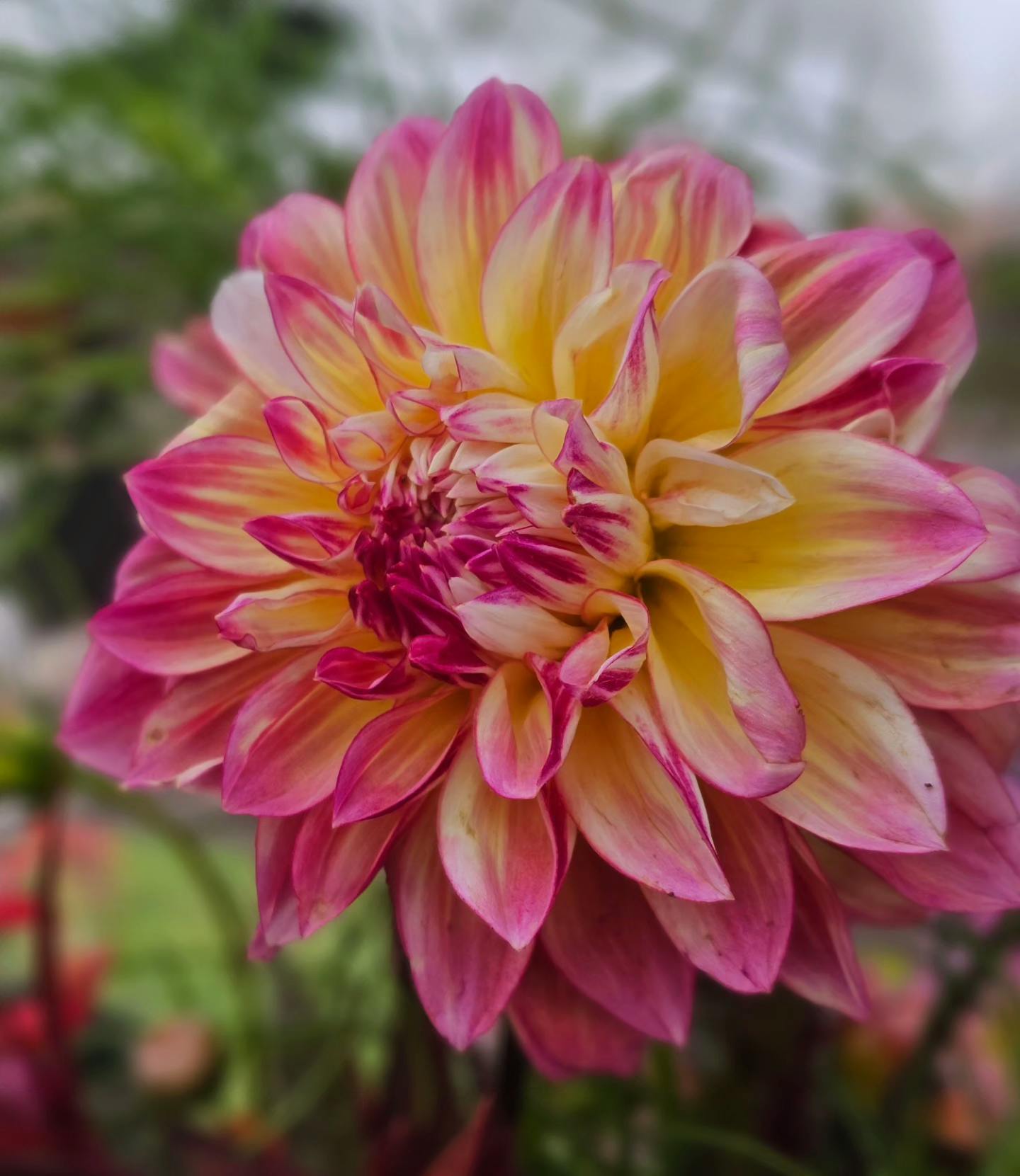 user avatar image for Nan Braun