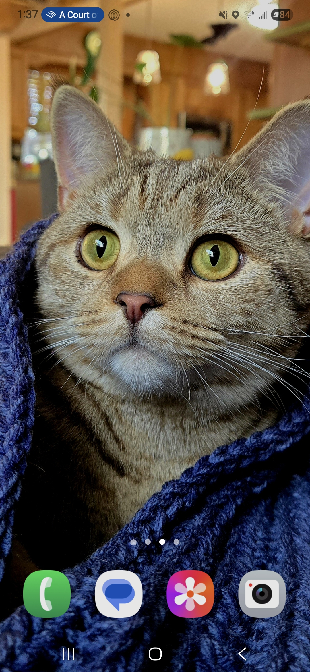 user avatar image for AJArt