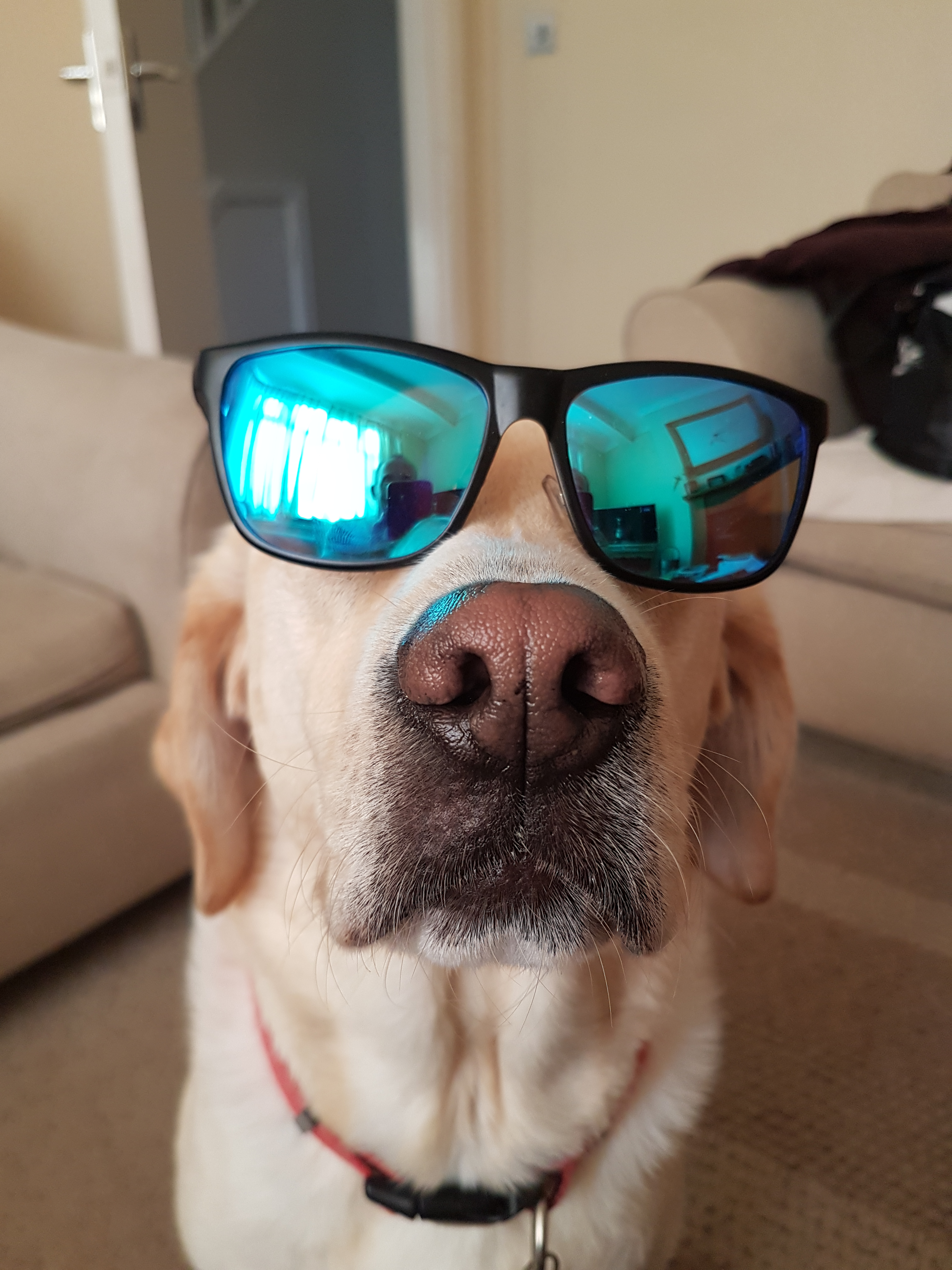 user avatar image for Rob B