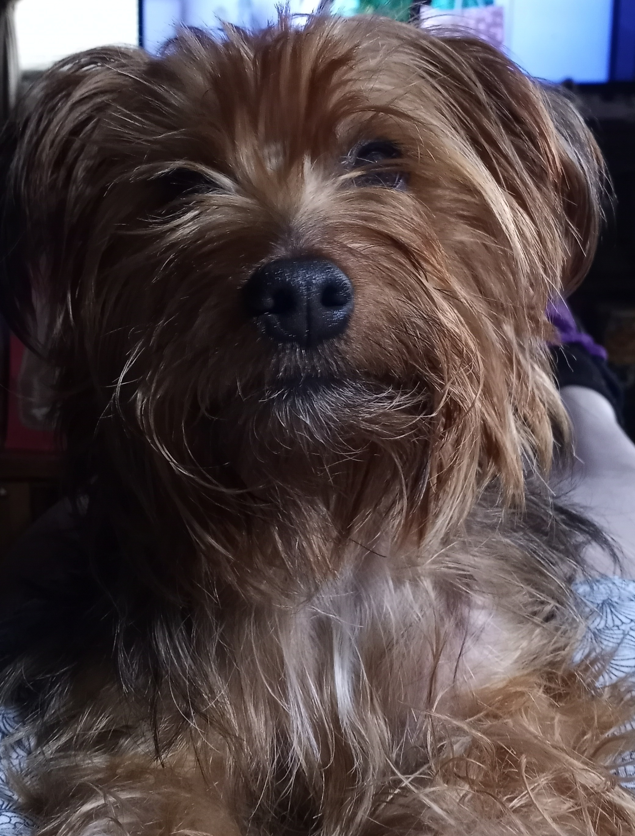 user avatar image for Ancientmummy